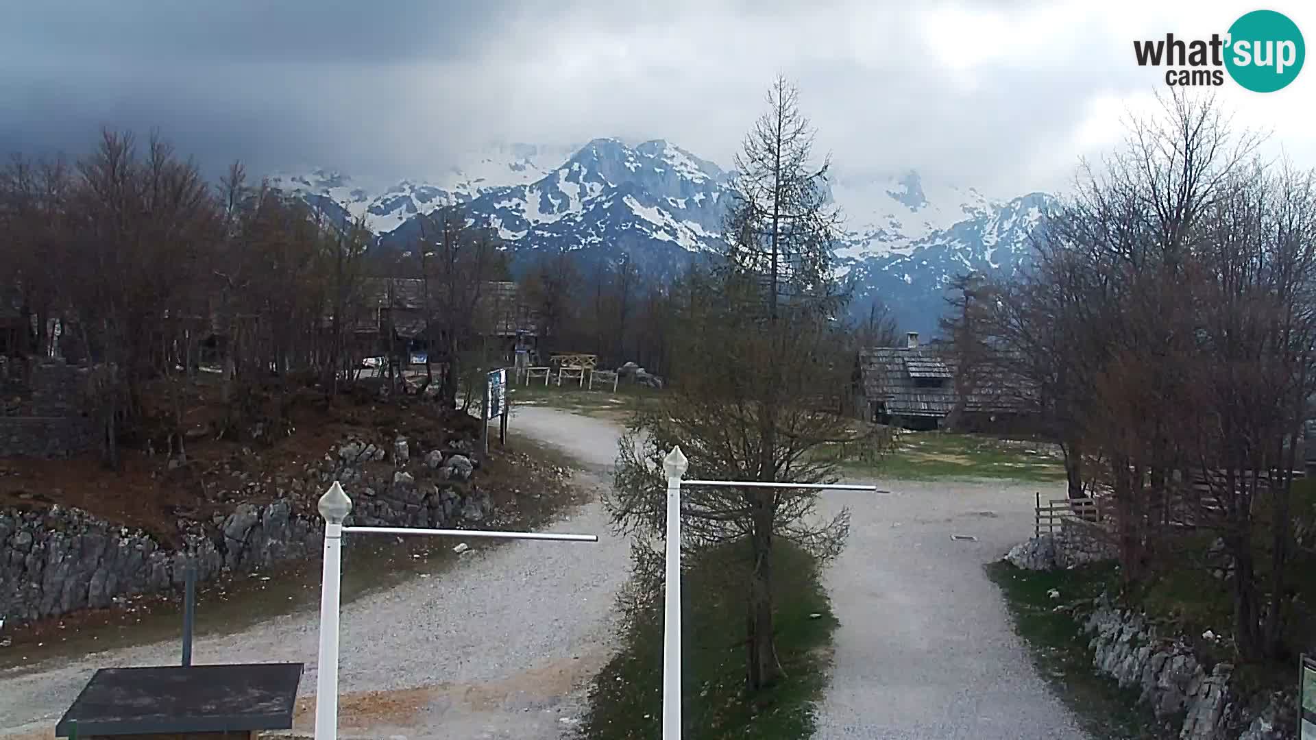 Webcam Skigebiet Vogel