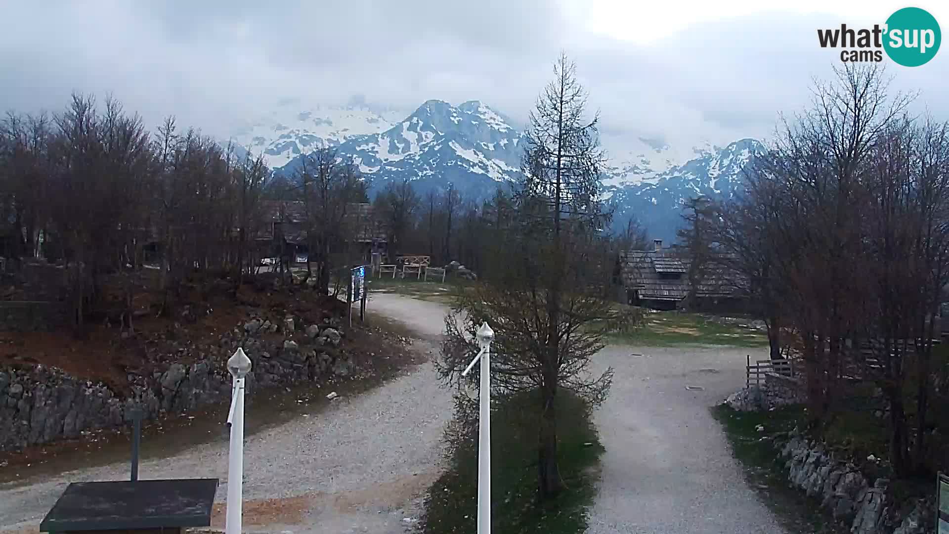 Webcam Ski resort Vogel