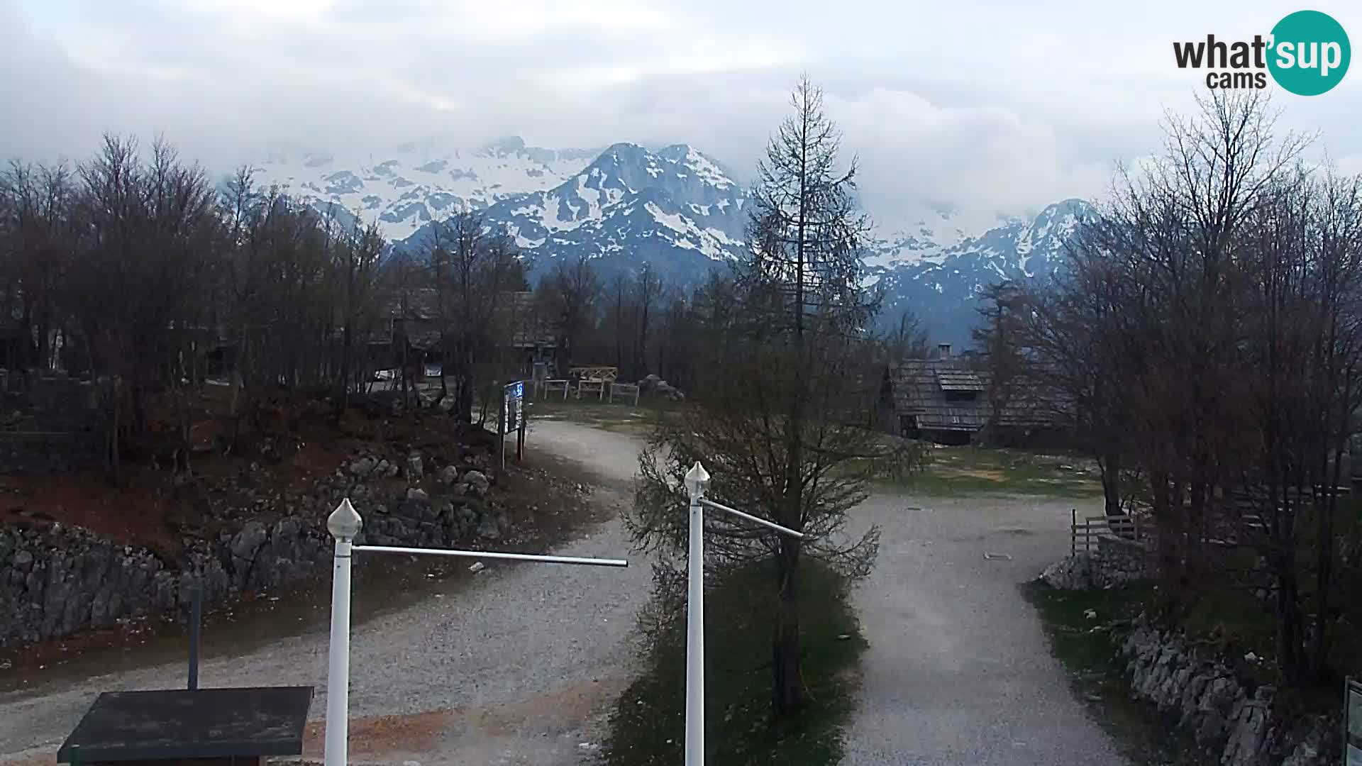 Webcam Ski resort Vogel