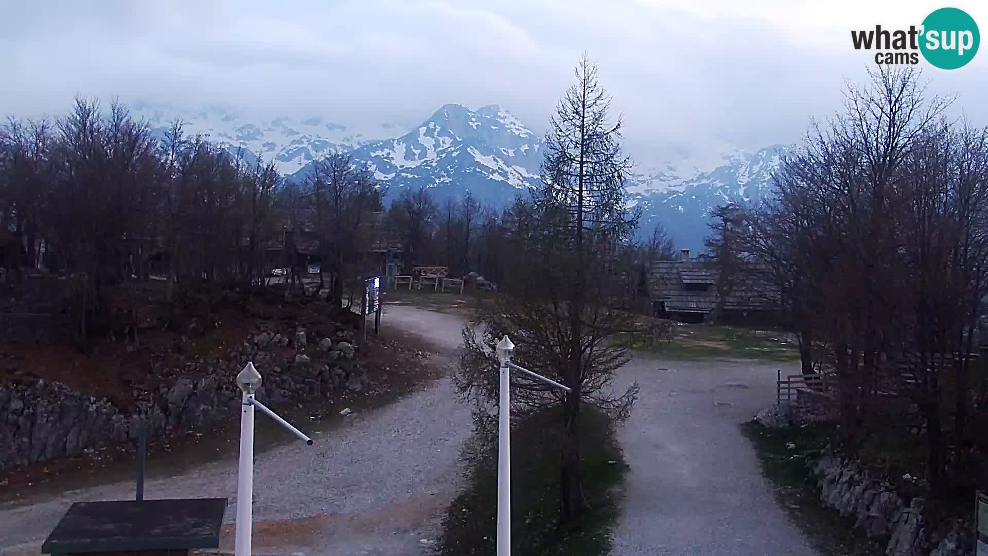 Webcam Ski resort Vogel
