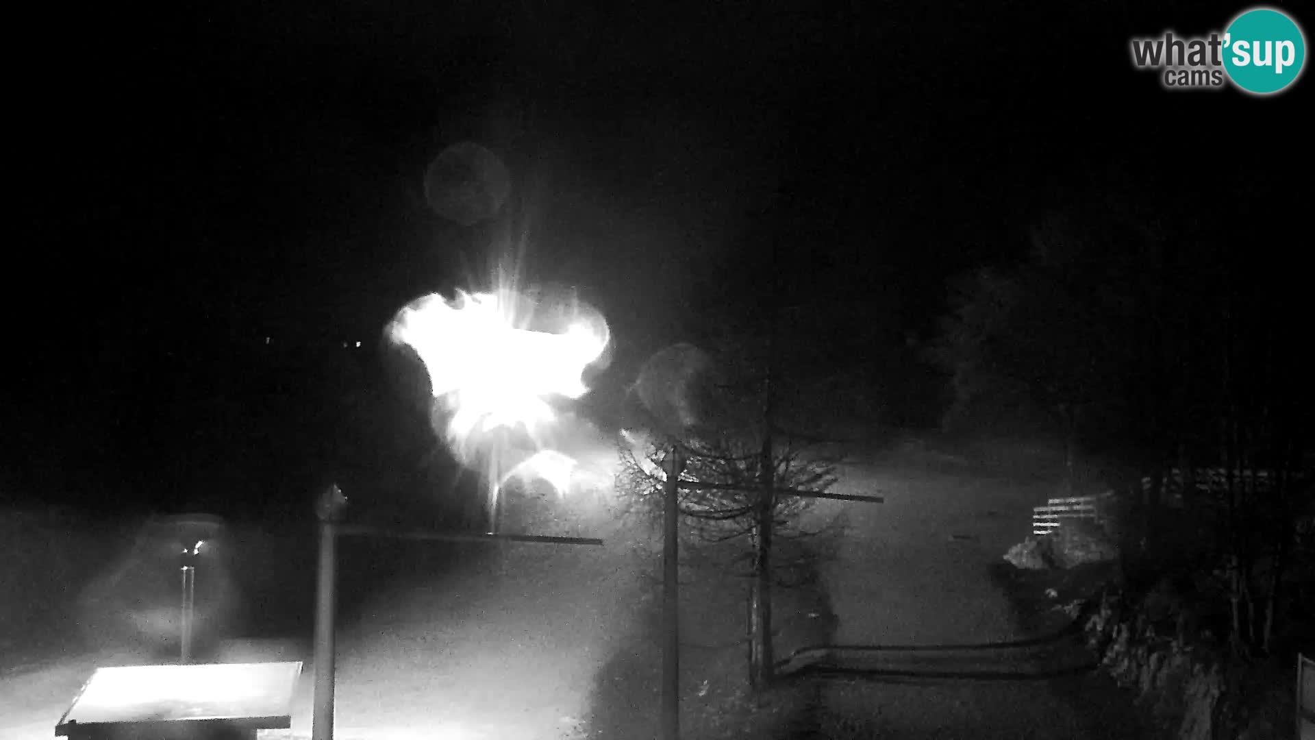 Webcam Ski resort Vogel