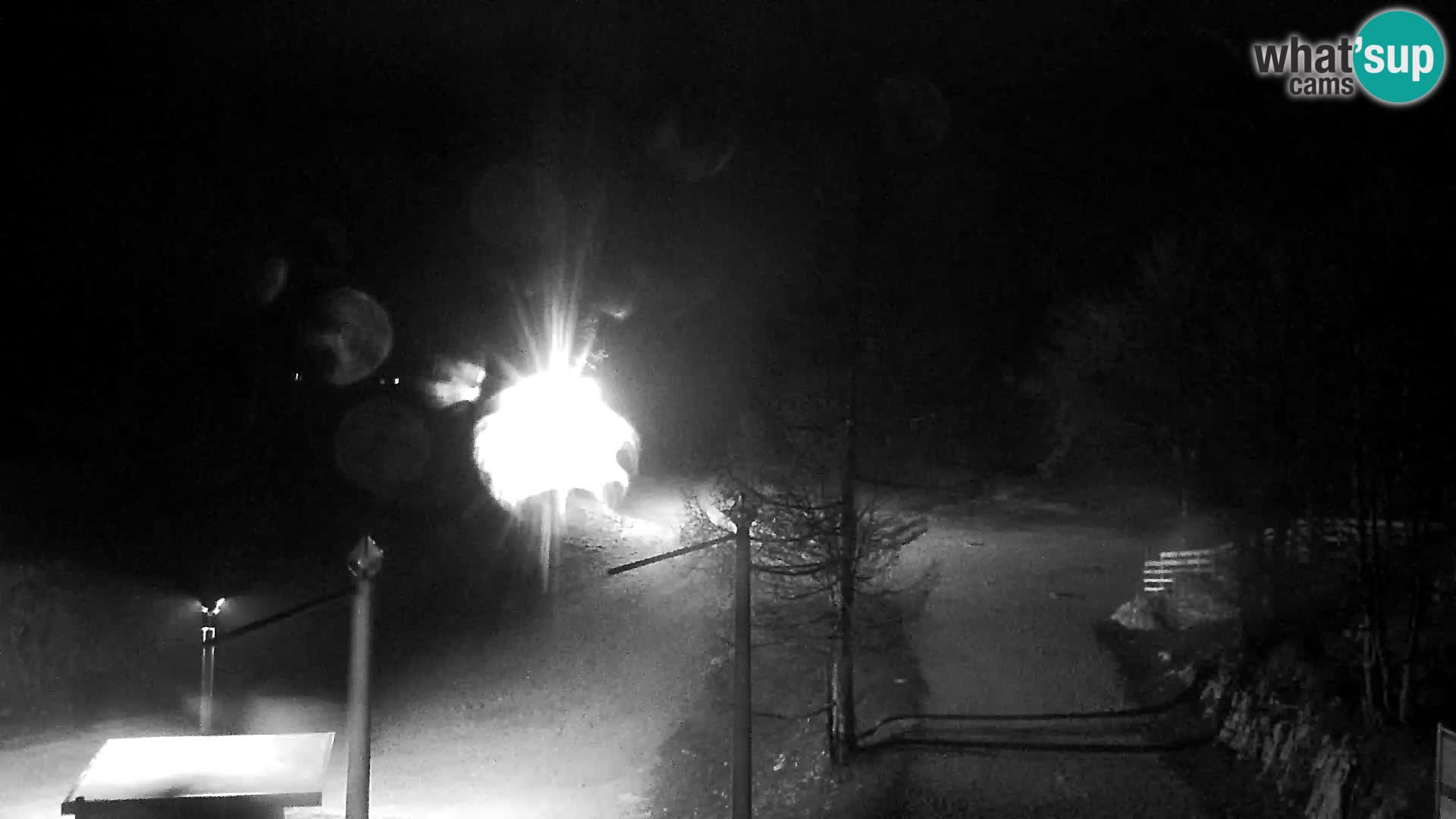 Webcam Ski resort Vogel