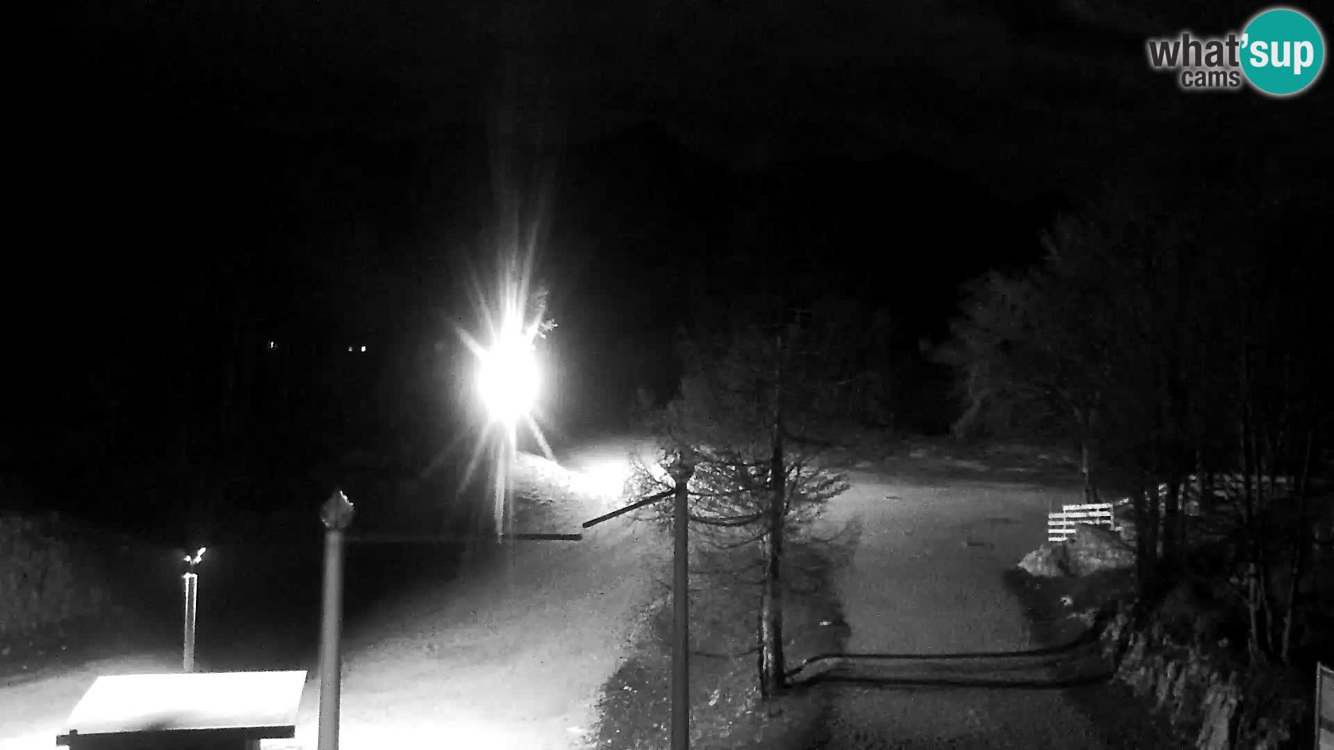 Webcam Skigebiet Vogel