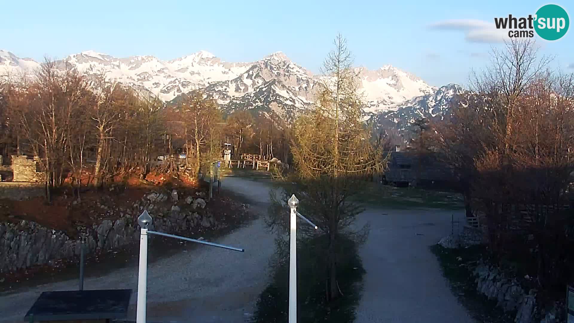 Webcam Skigebiet Vogel
