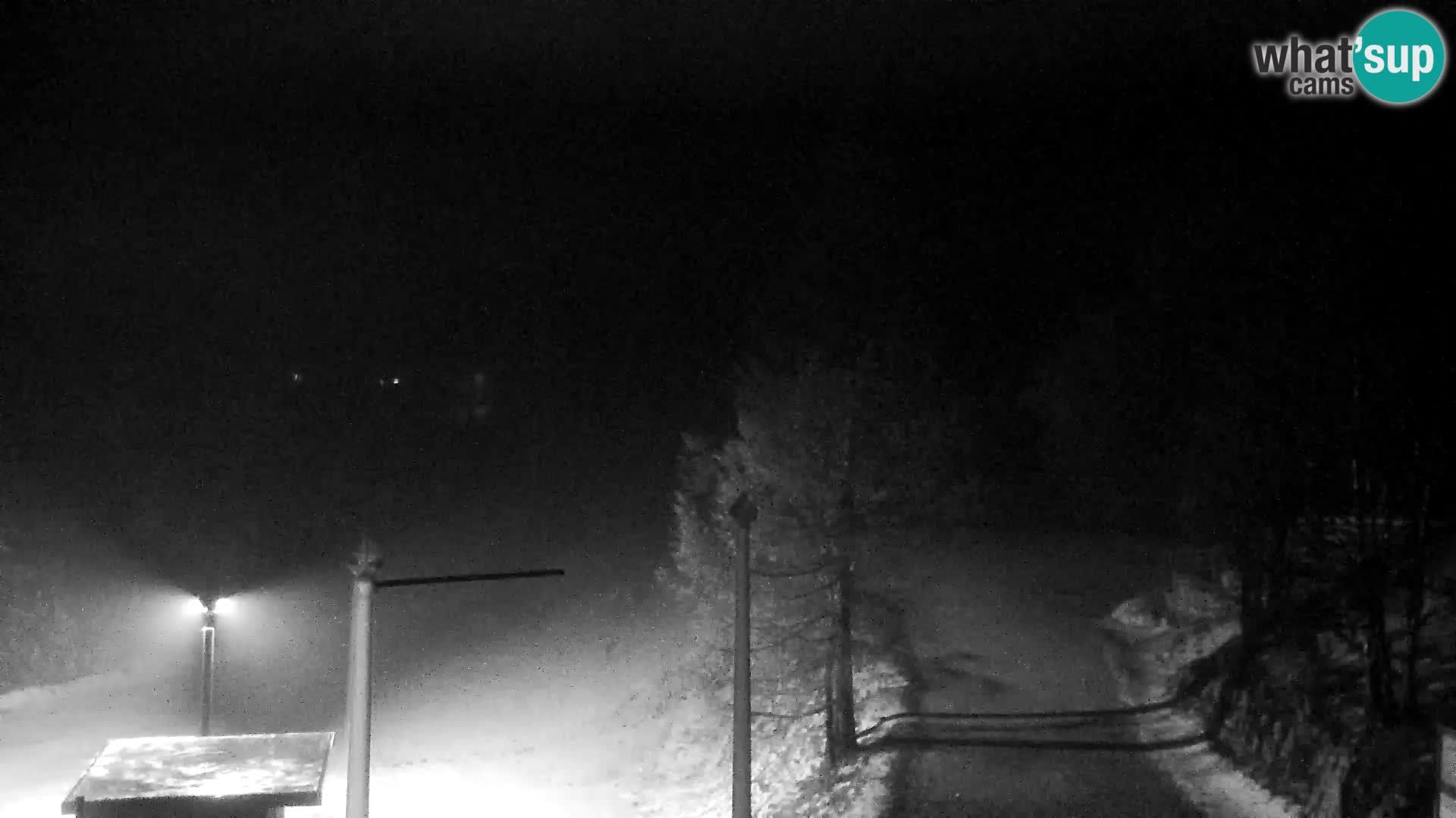 Live cam Station ski Vogel