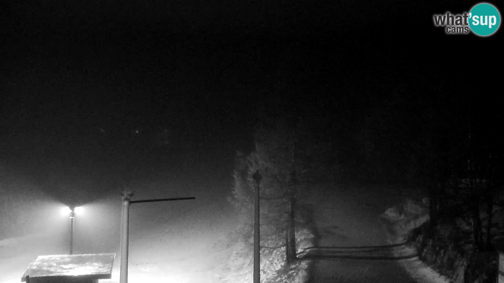 Webcam Skigebiet Vogel