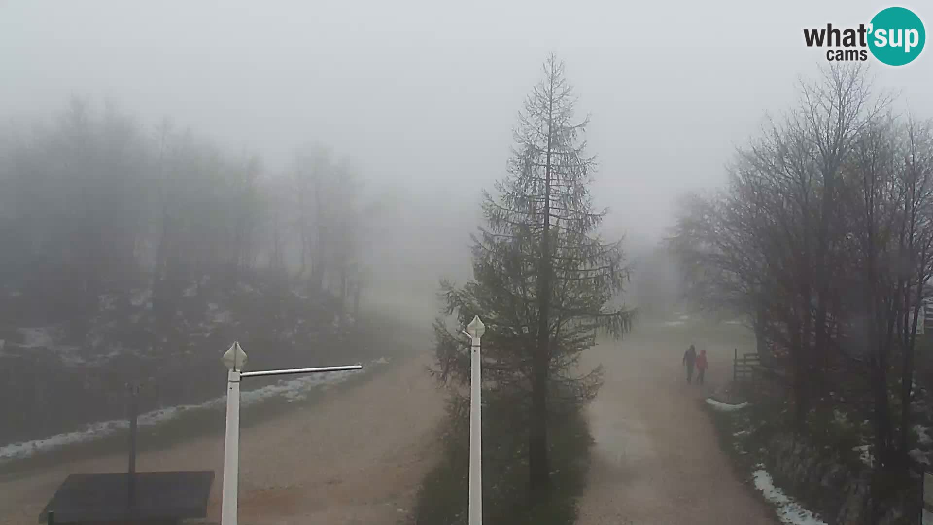 Webcam Ski resort Vogel