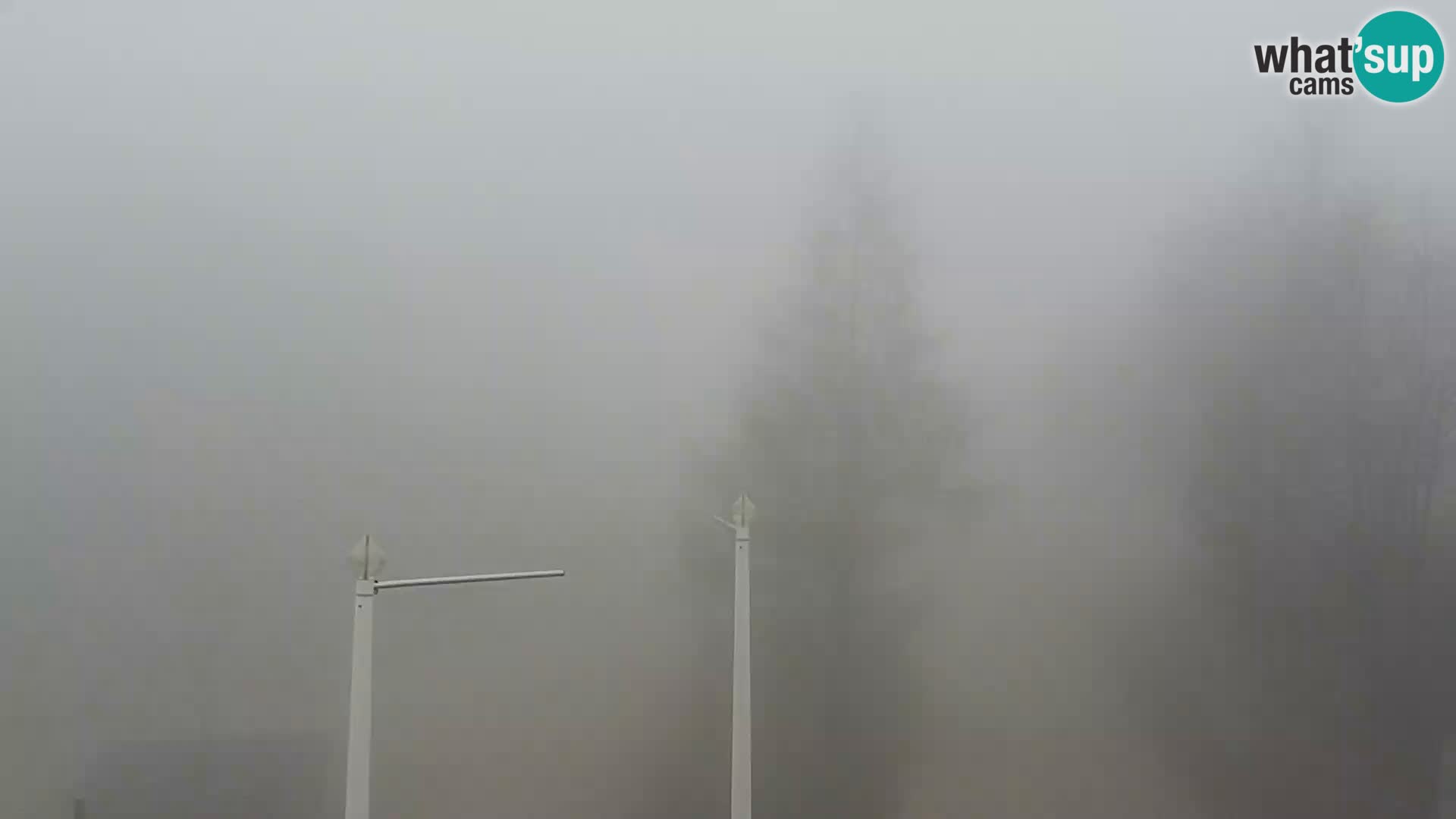 Live cam Station ski Vogel