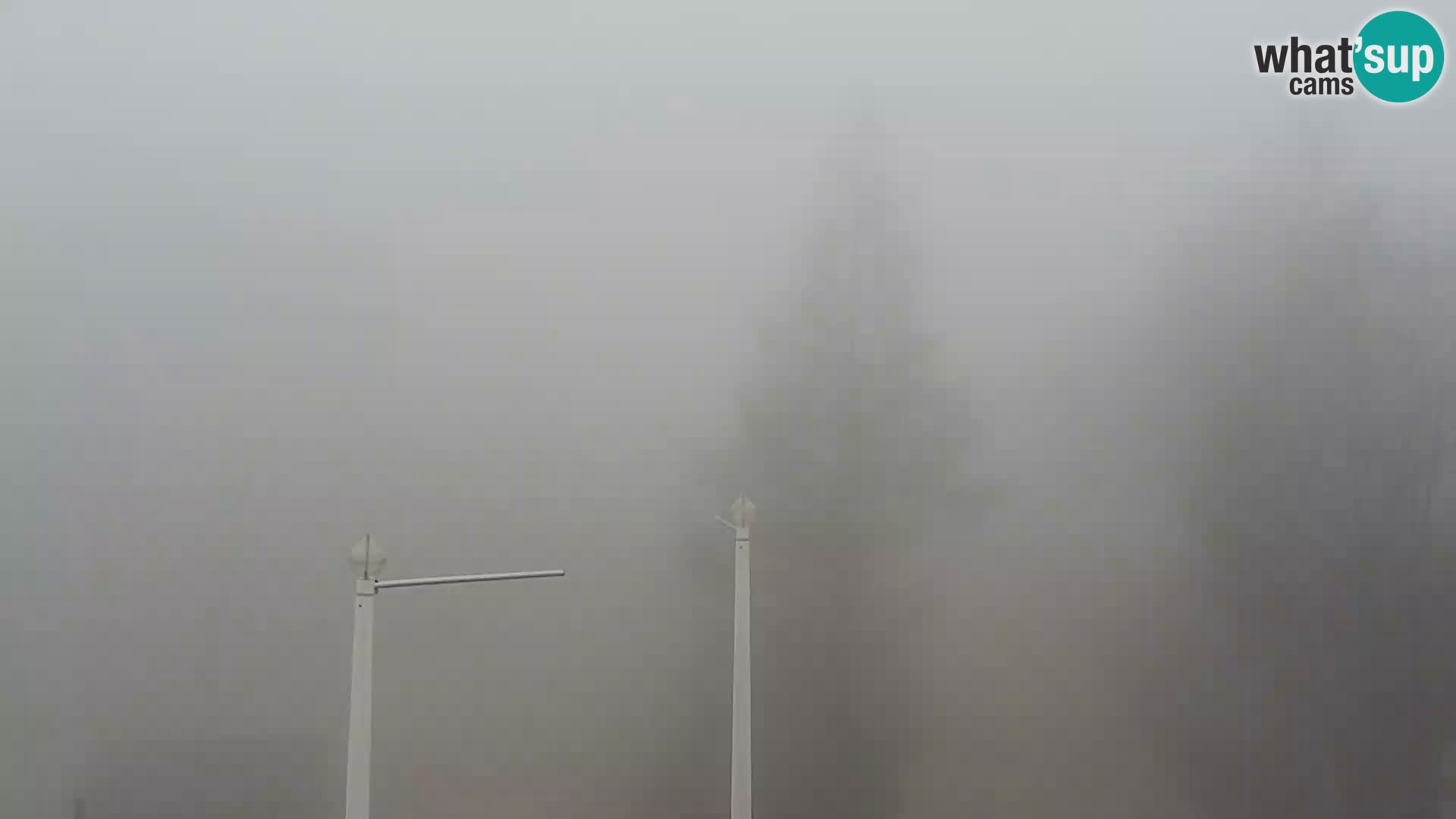 Live cam Station ski Vogel