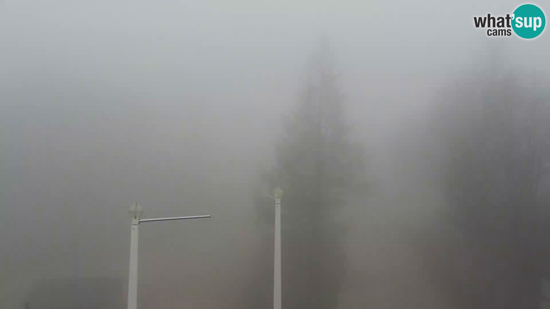 Live cam Station ski Vogel