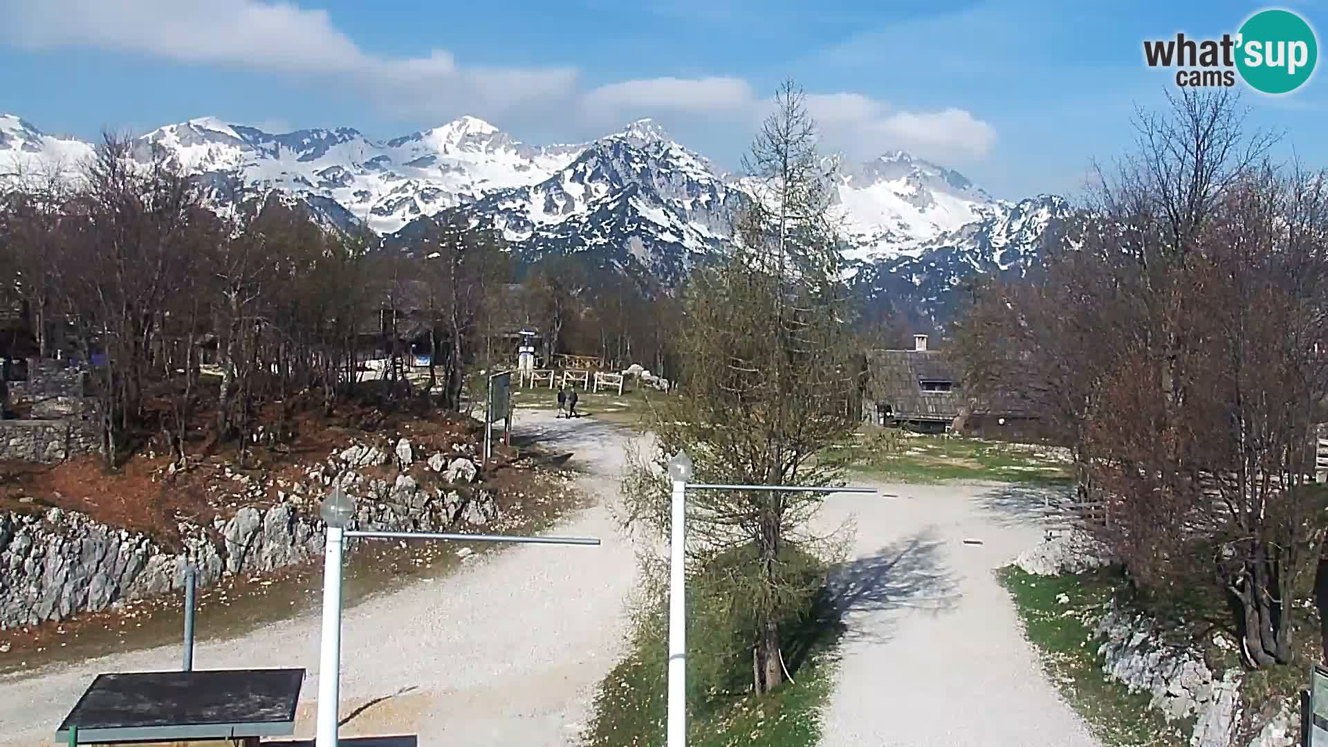 Webcam Skigebiet Vogel