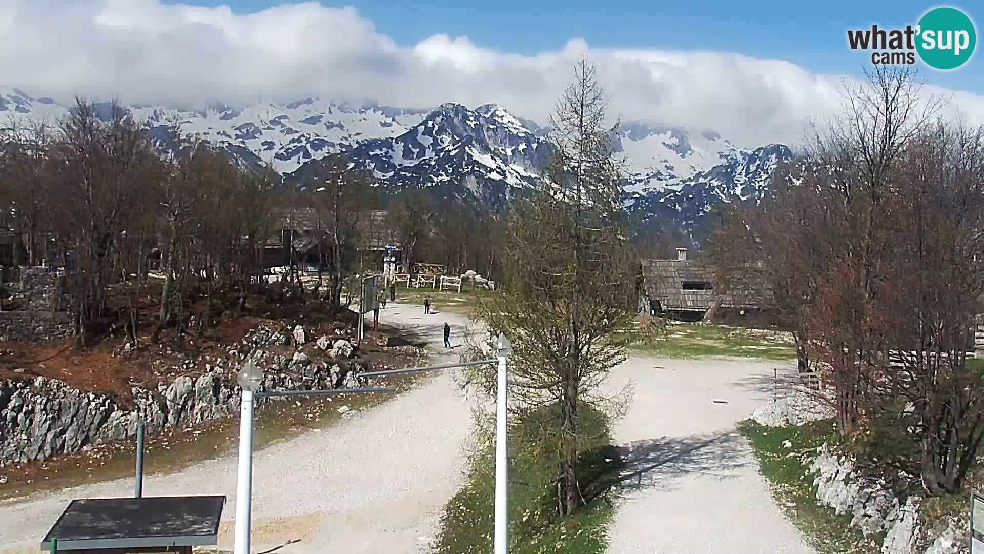Webcam Ski resort Vogel