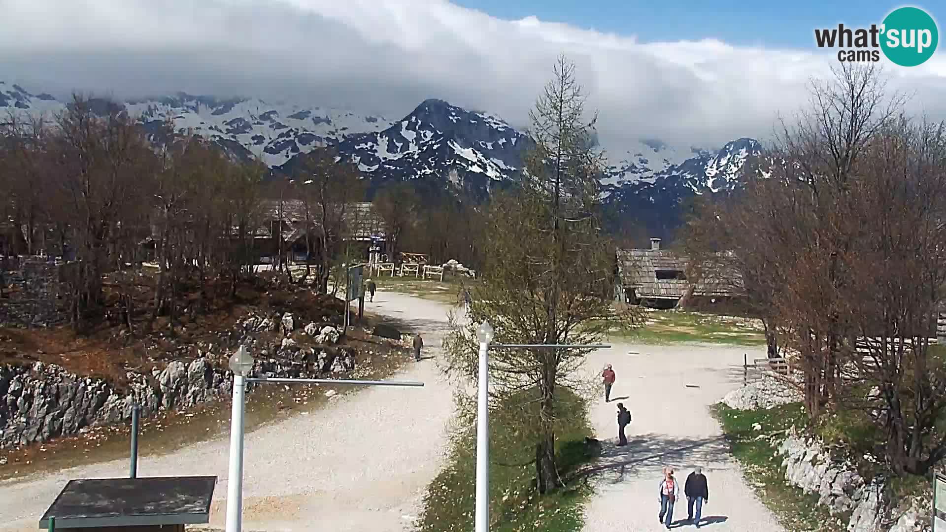 Webcam Stazione sciistica Vogel