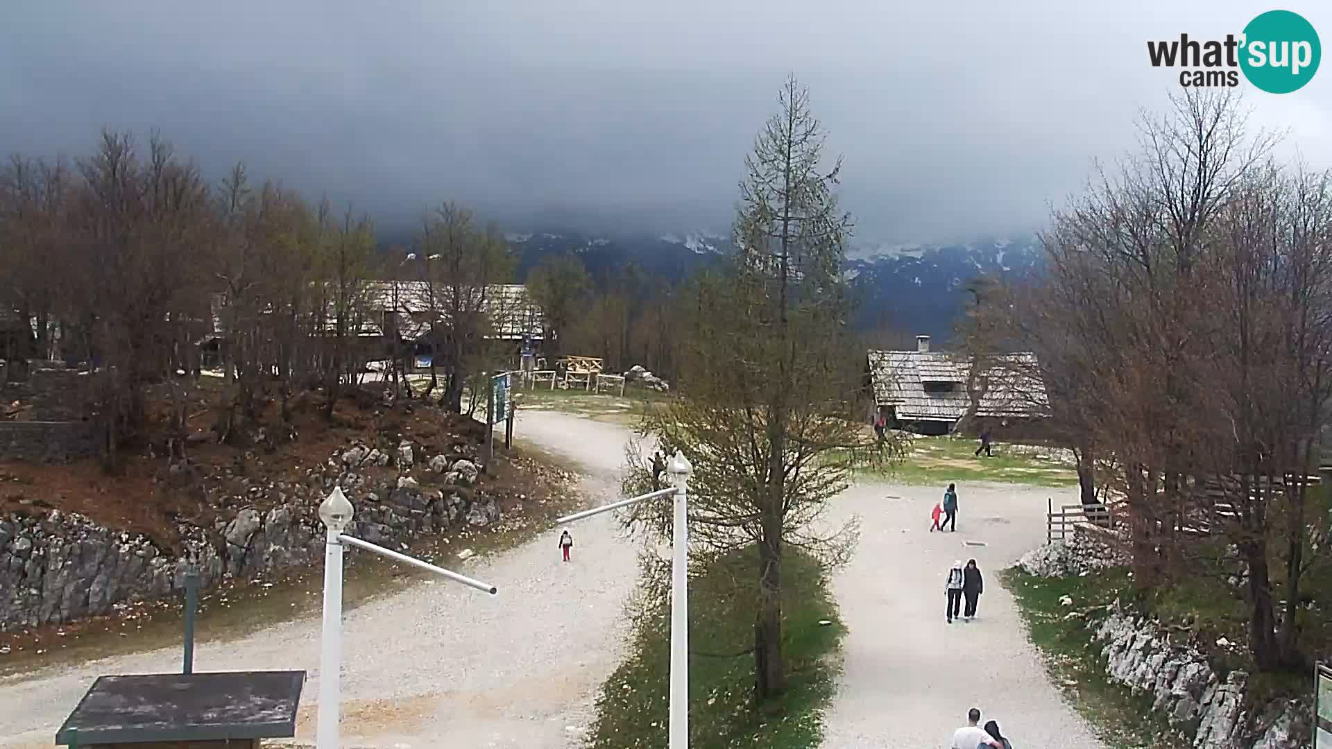 Webcam Stazione sciistica Vogel