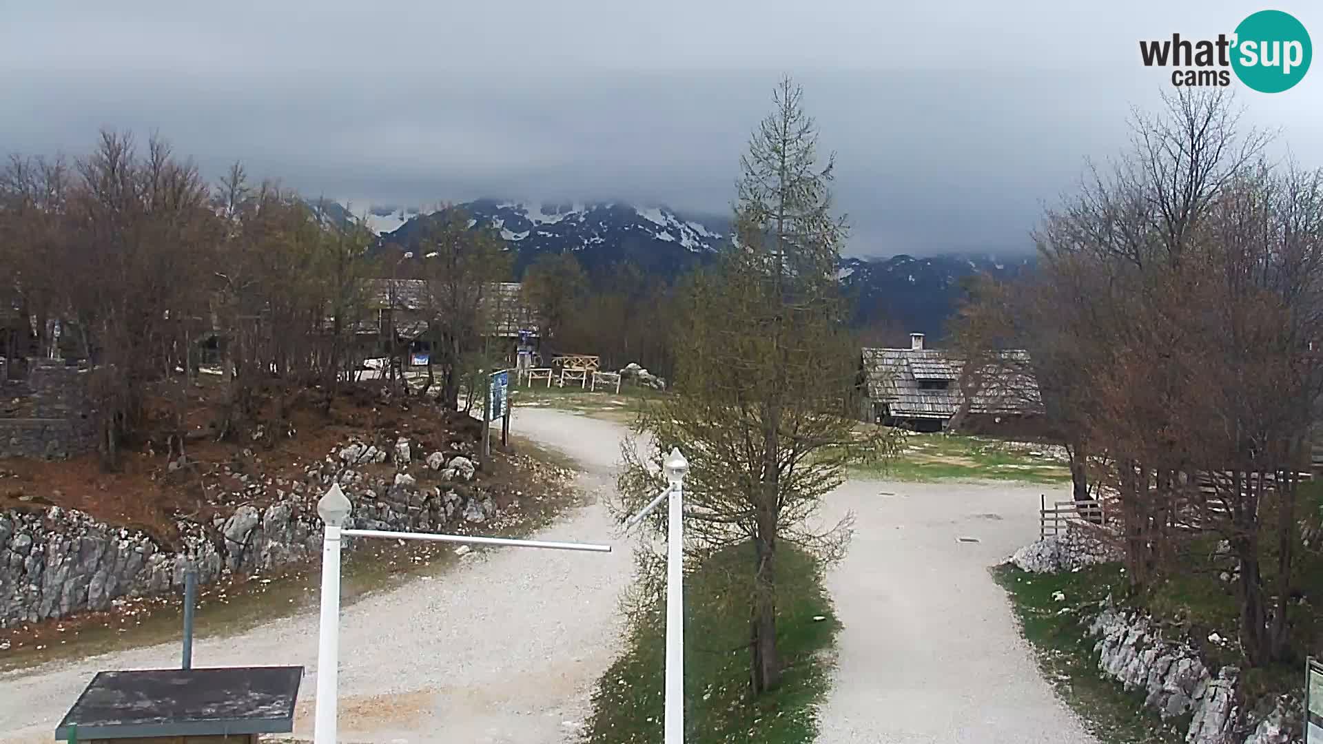 Webcam Ski resort Vogel