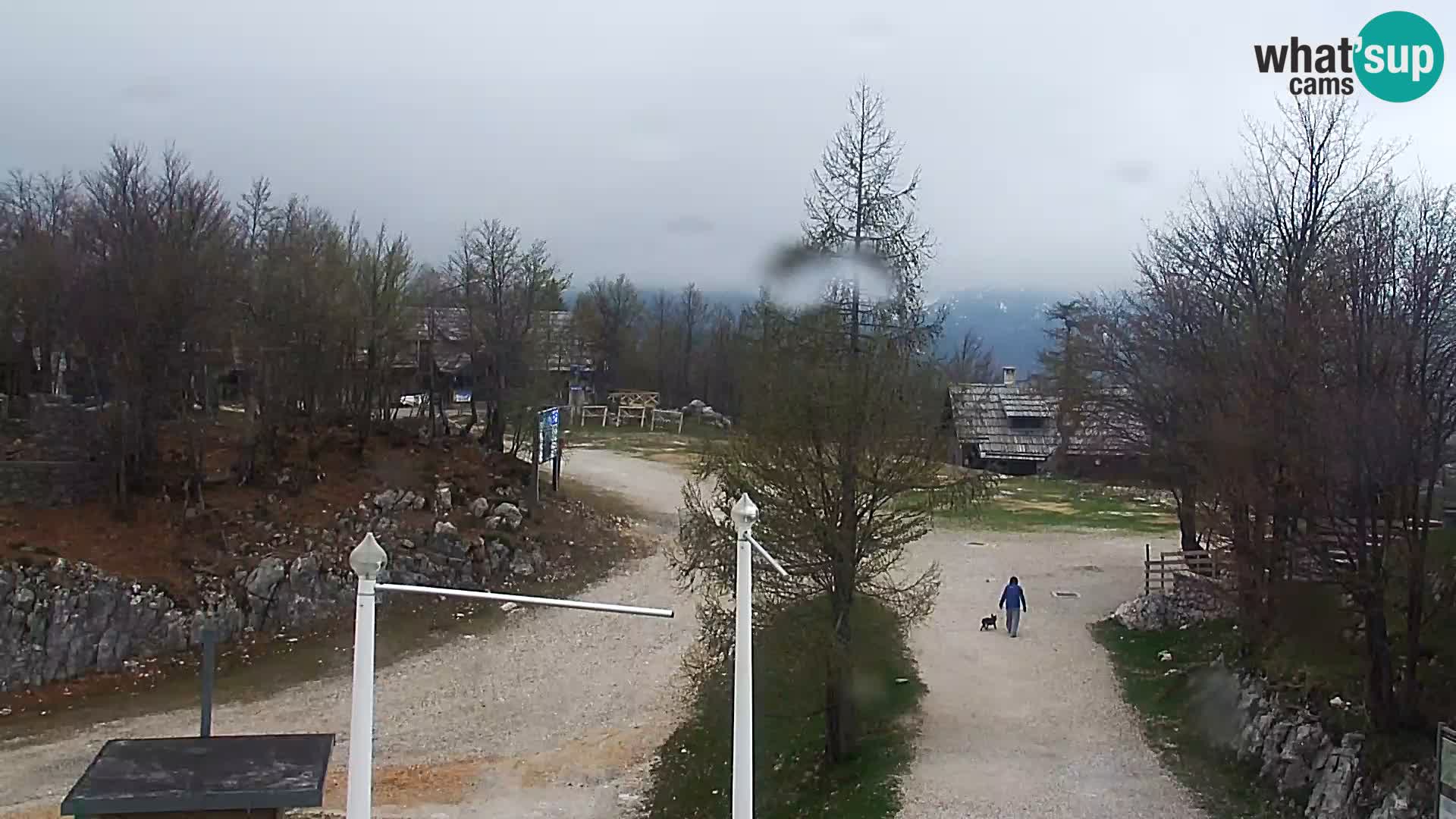 Webcam Skigebiet Vogel