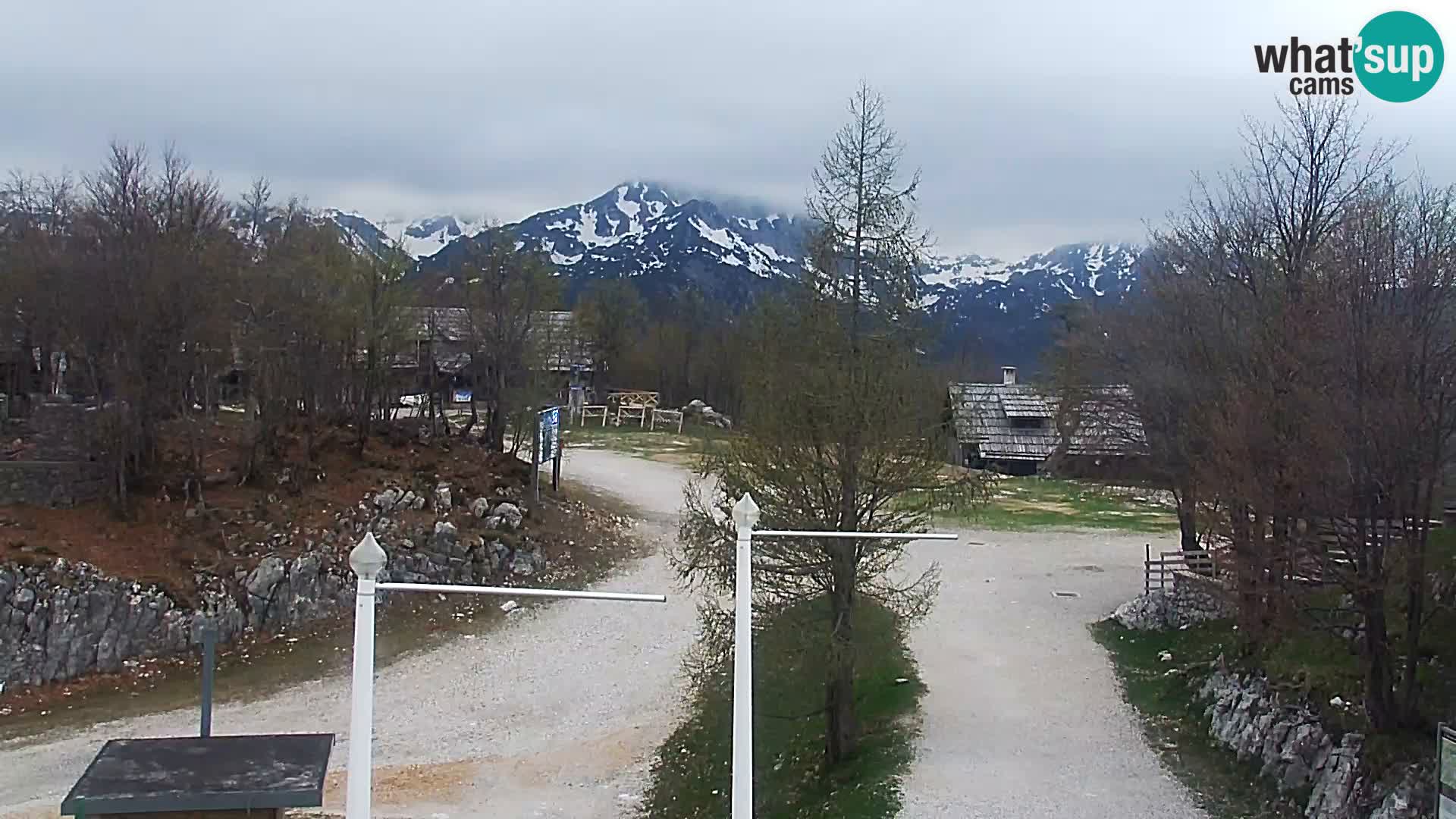 Webcam Skigebiet Vogel