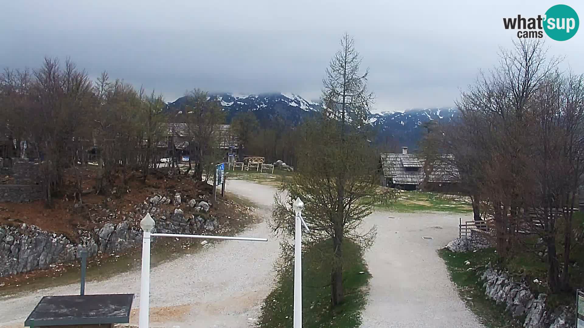 Webcam Skigebiet Vogel