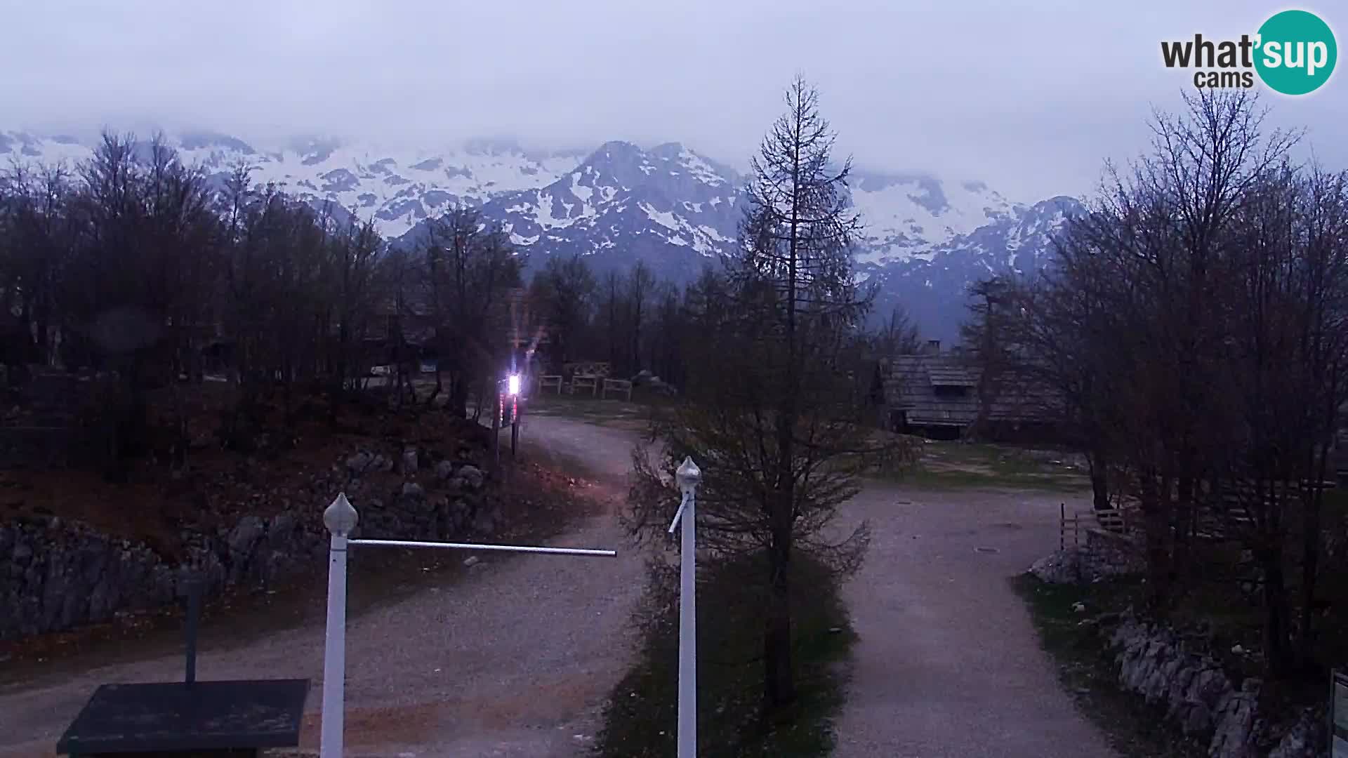 Live cam Station ski Vogel