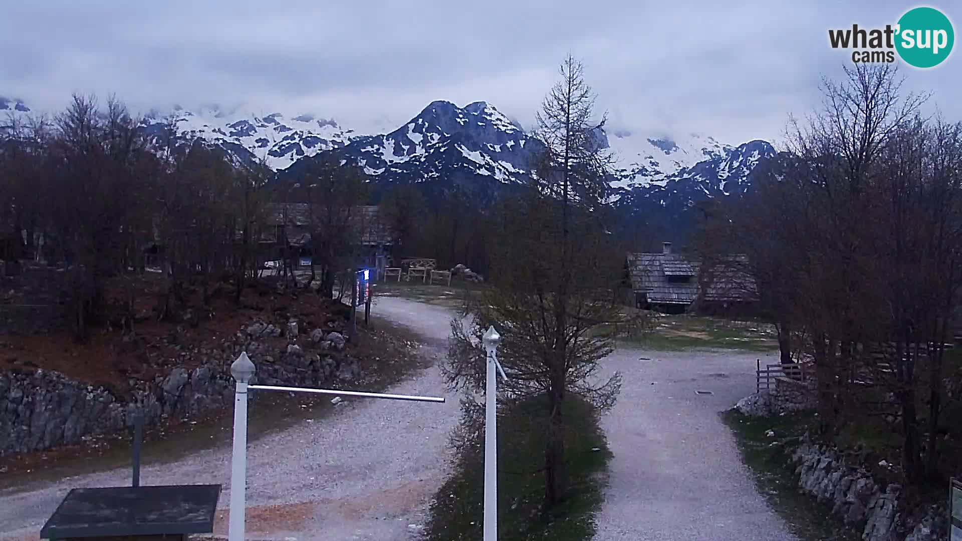 Webcam Stazione sciistica Vogel