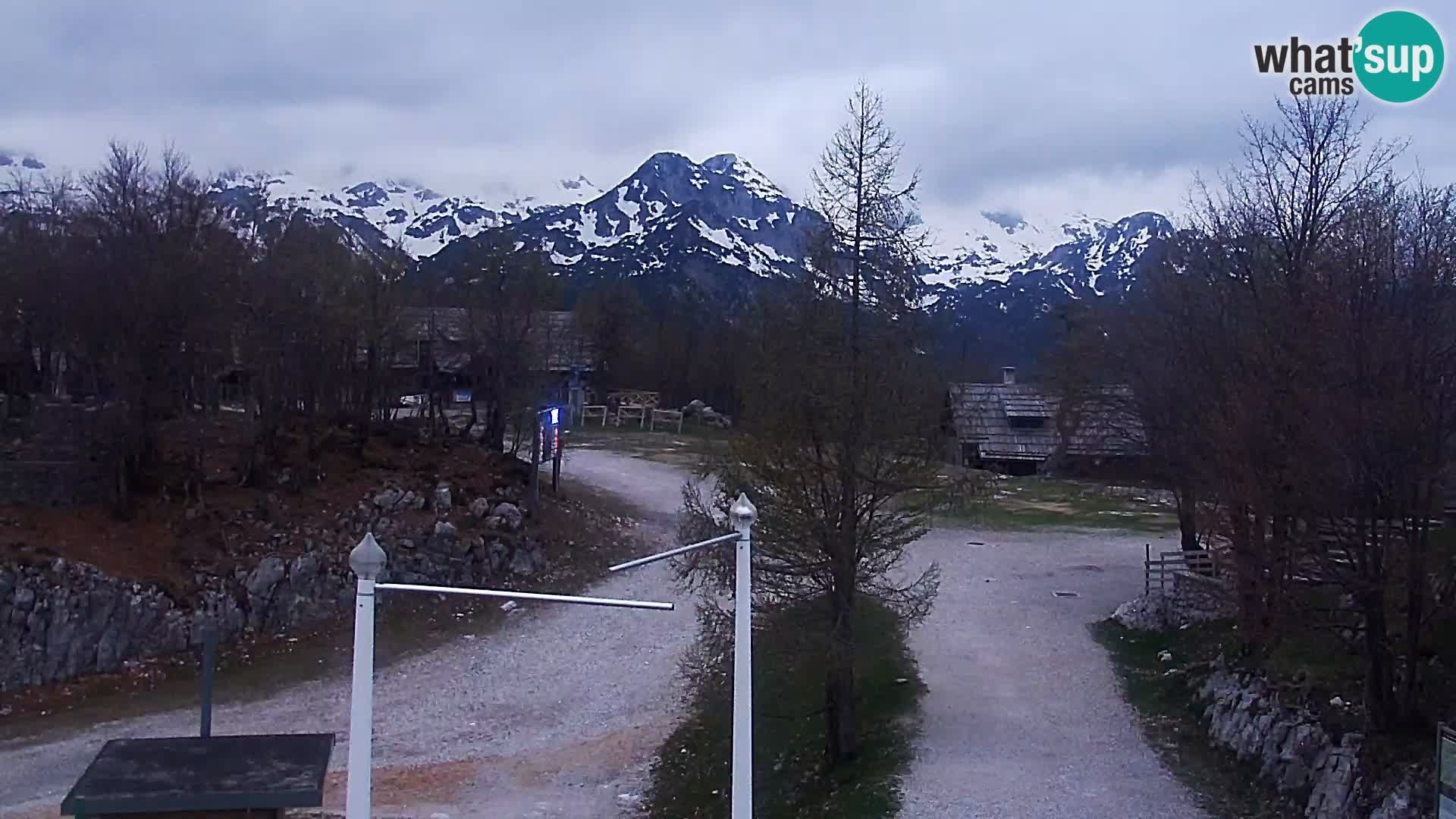 Live cam Station ski Vogel