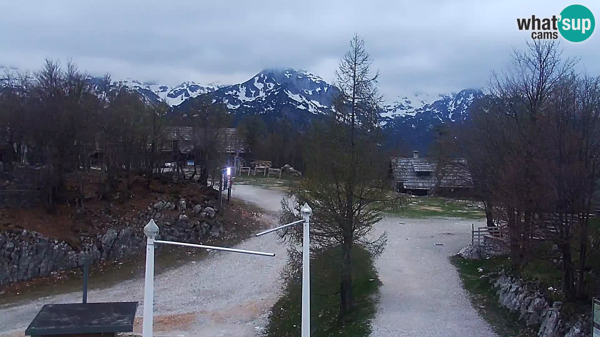 Live cam Station ski Vogel