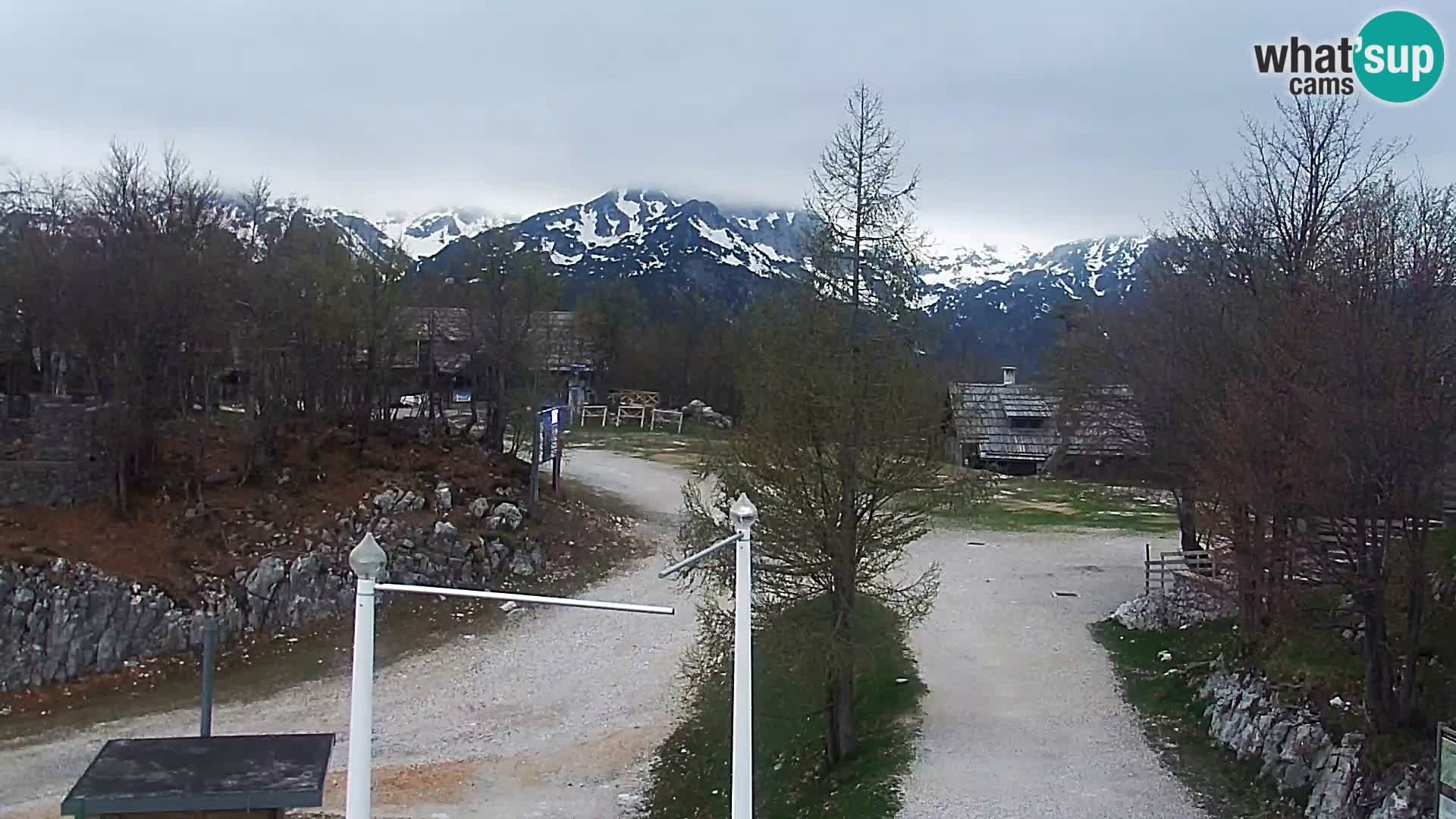 Webcam Ski resort Vogel