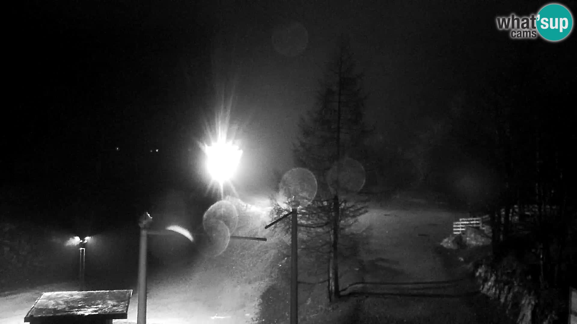 Live cam Station ski Vogel