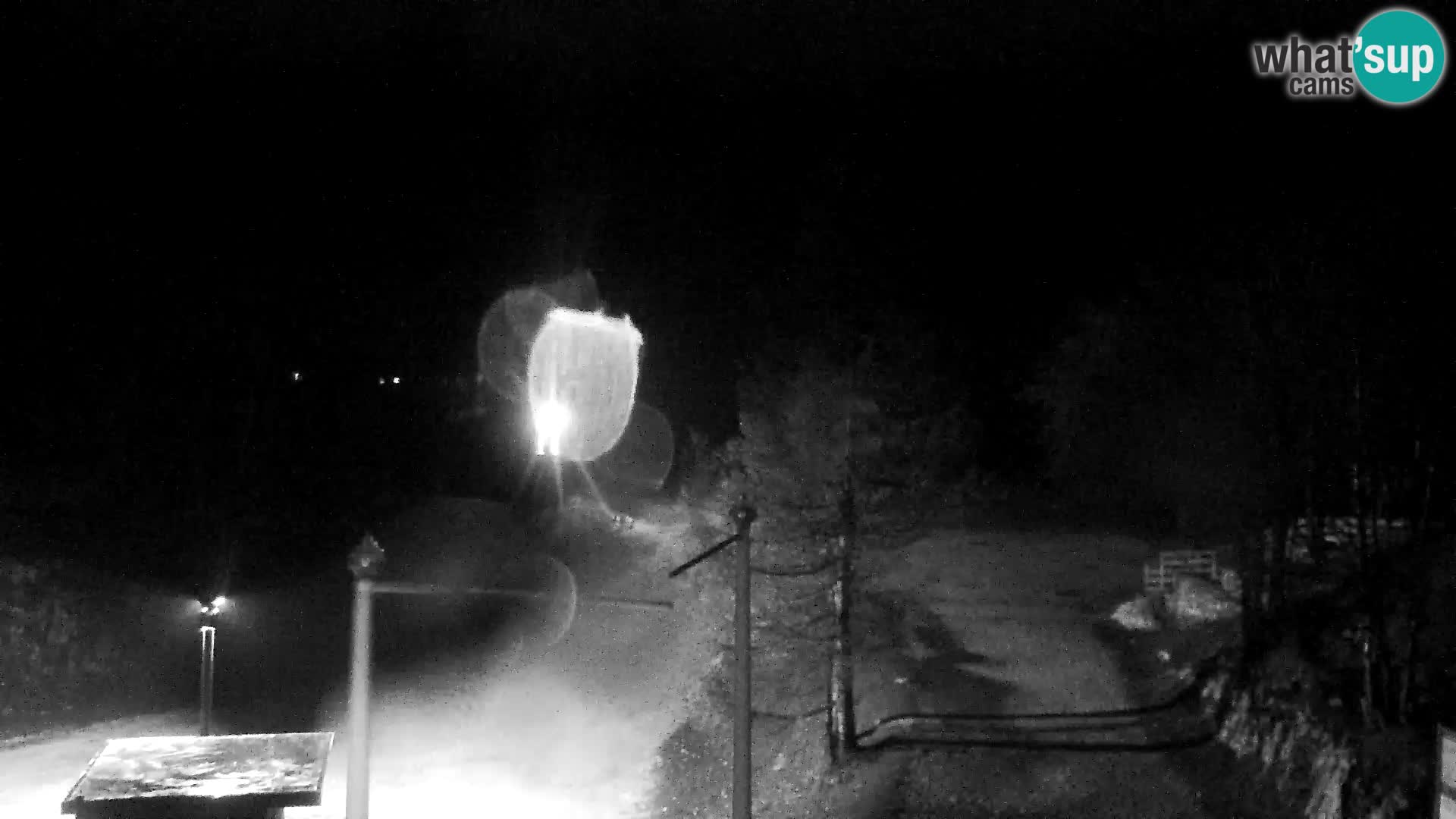 Webcam Skigebiet Vogel