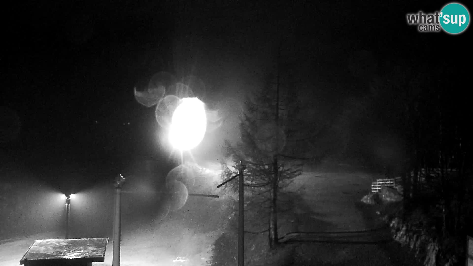 Webcam Ski resort Vogel