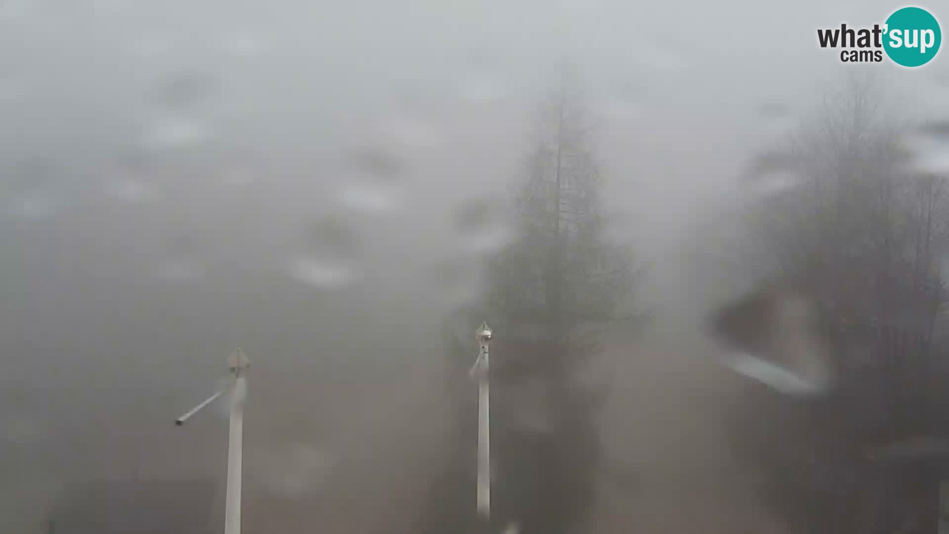 Webcam Stazione sciistica Vogel