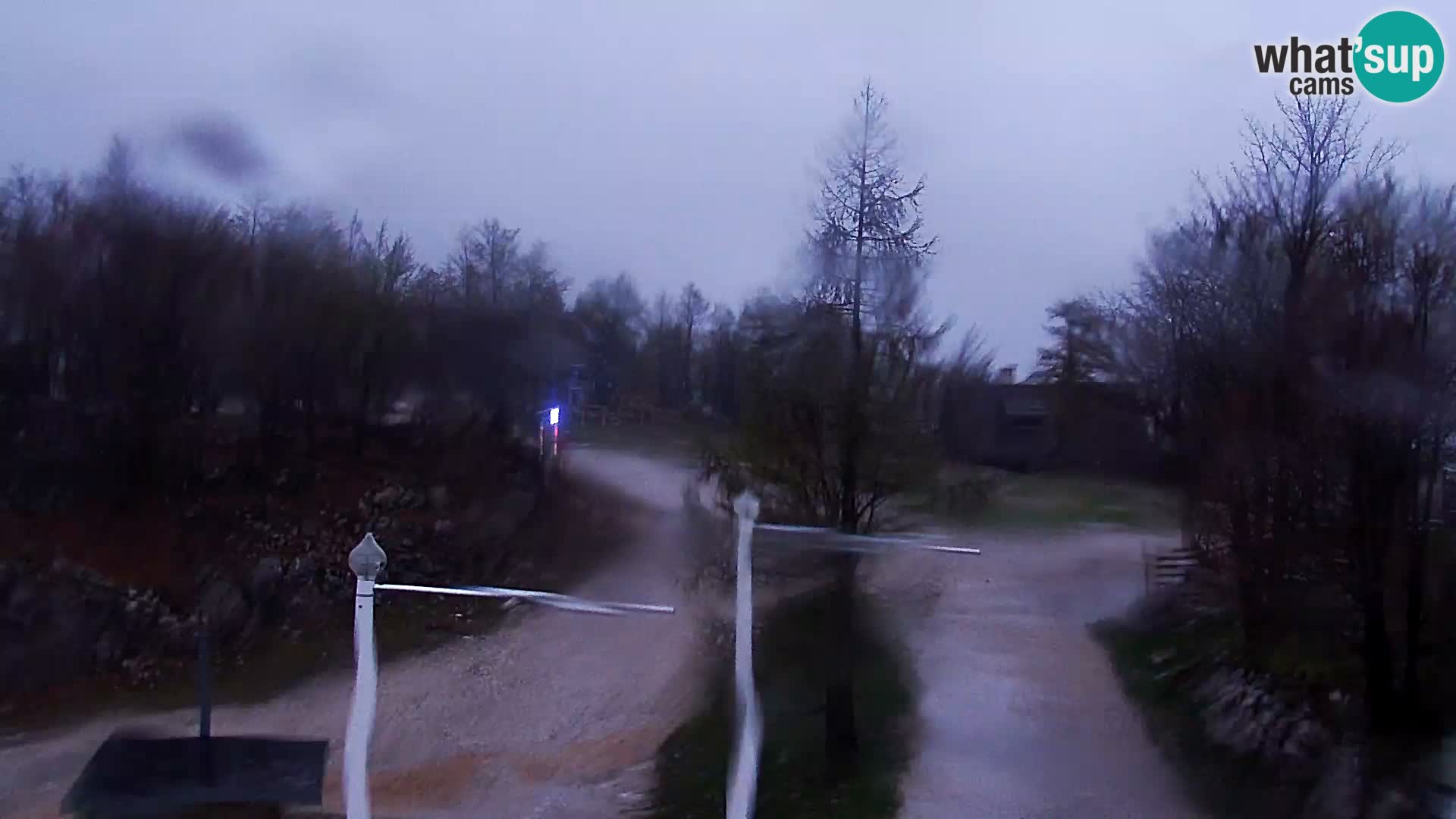 Webcam Skigebiet Vogel