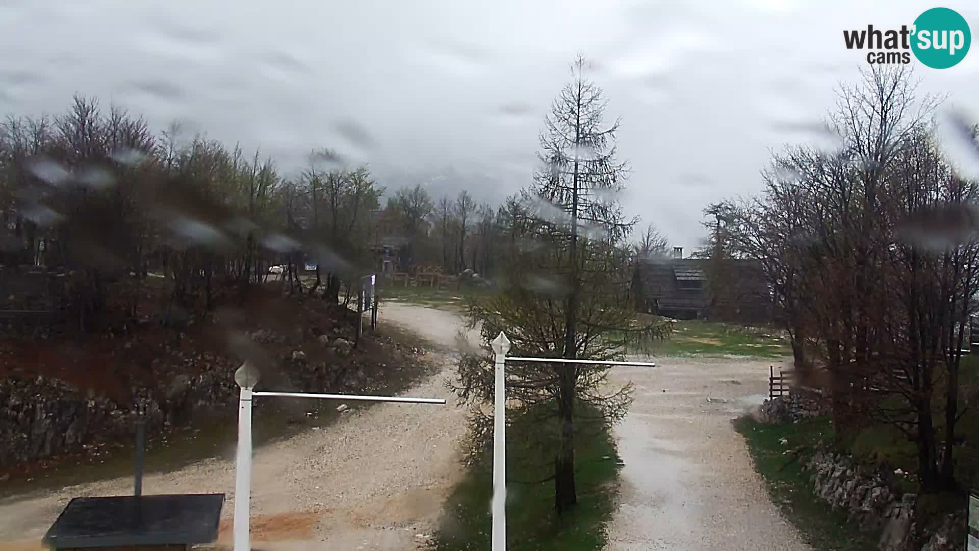 Web Kamera Skijalište Vogel