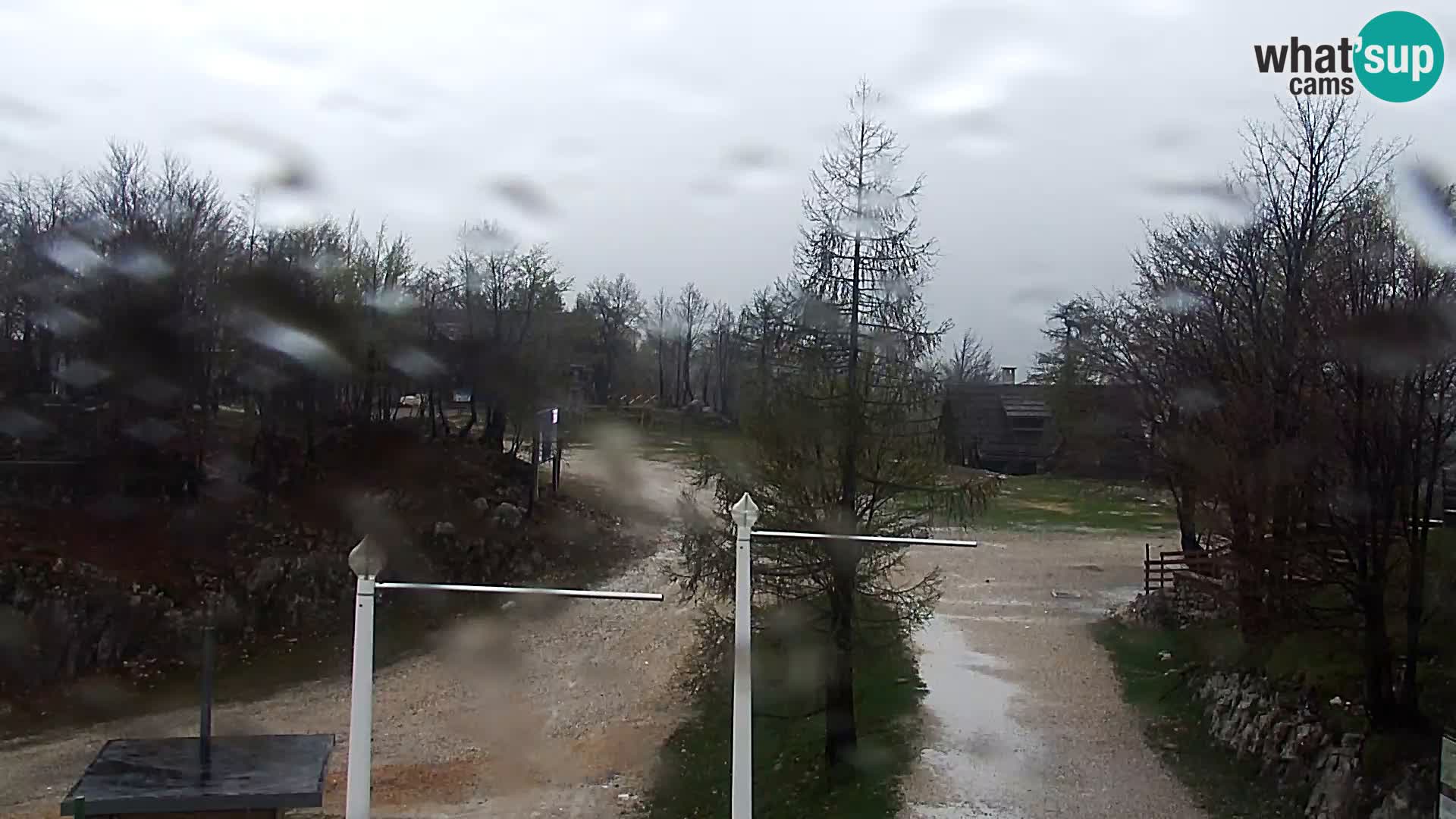 Webcam Ski resort Vogel