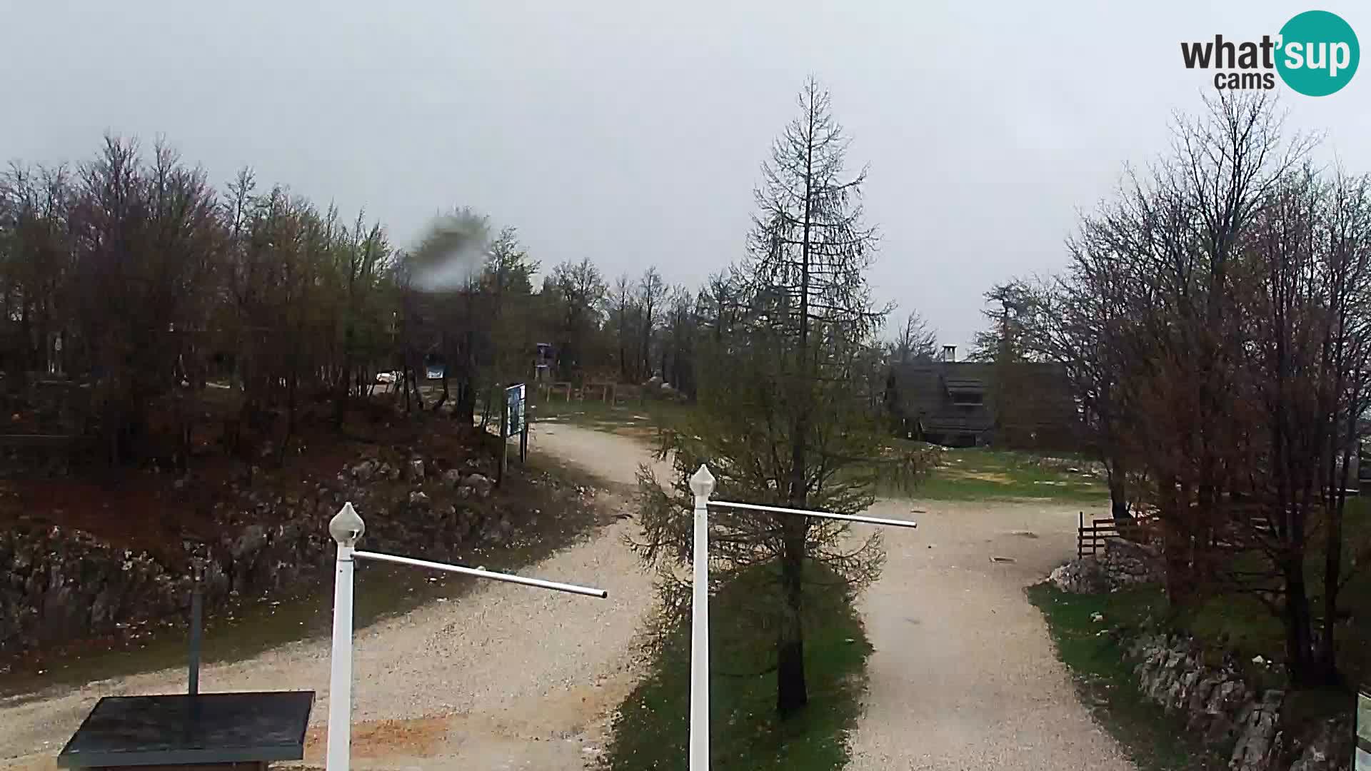Live cam Station ski Vogel