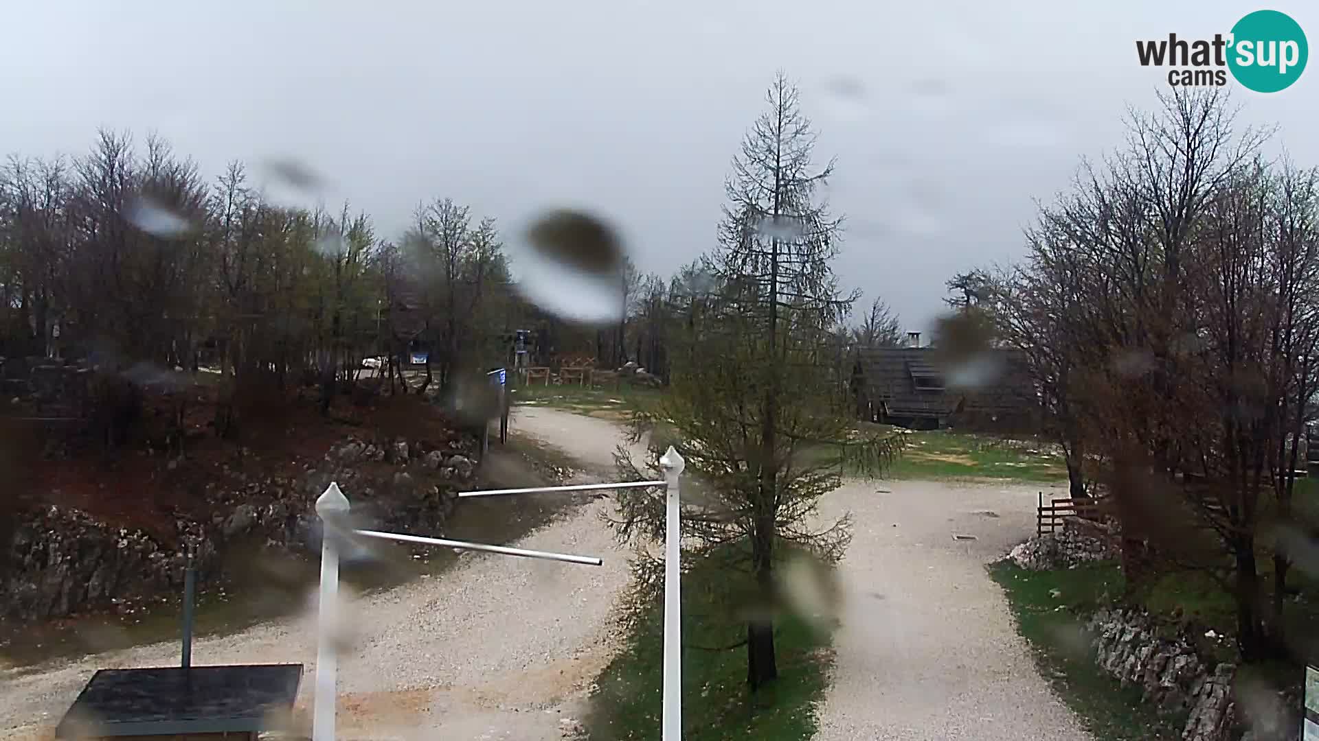 Webcam Stazione sciistica Vogel