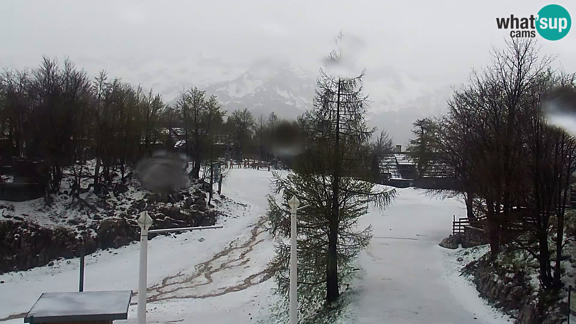 Webcam Ski resort Vogel
