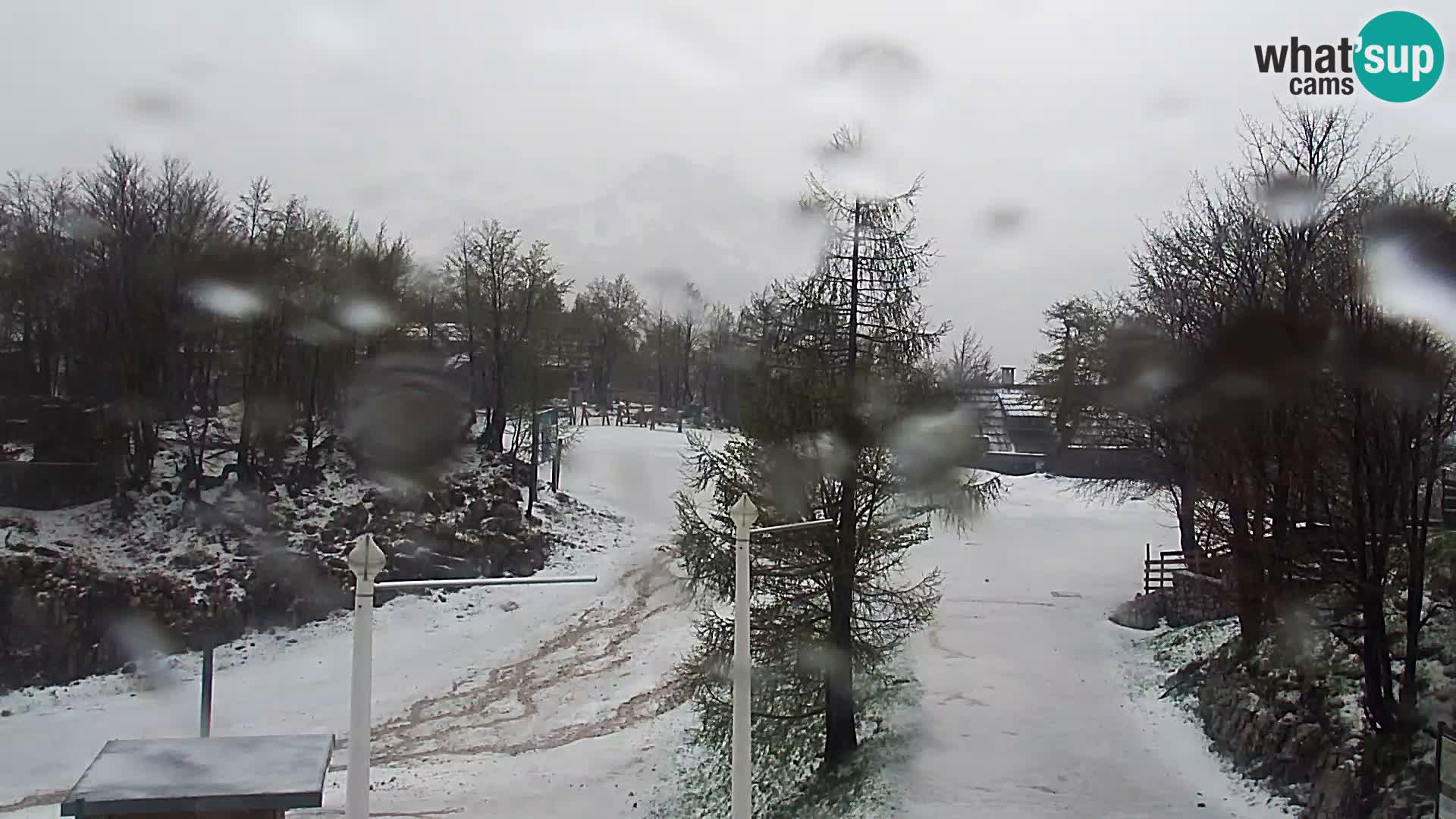 Webcam Stazione sciistica Vogel