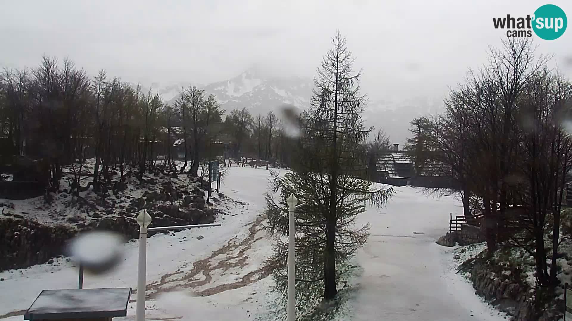 Webcam Ski resort Vogel