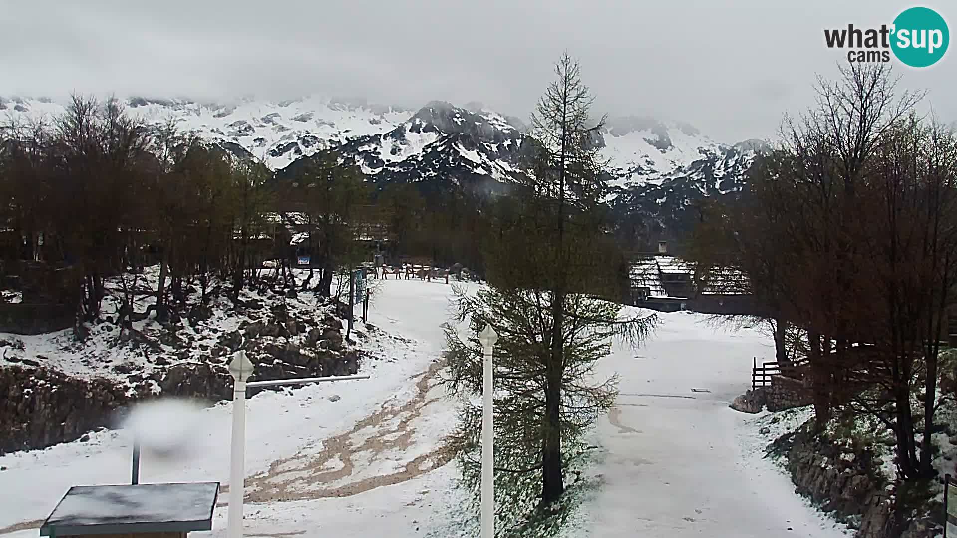 Webcam Ski resort Vogel