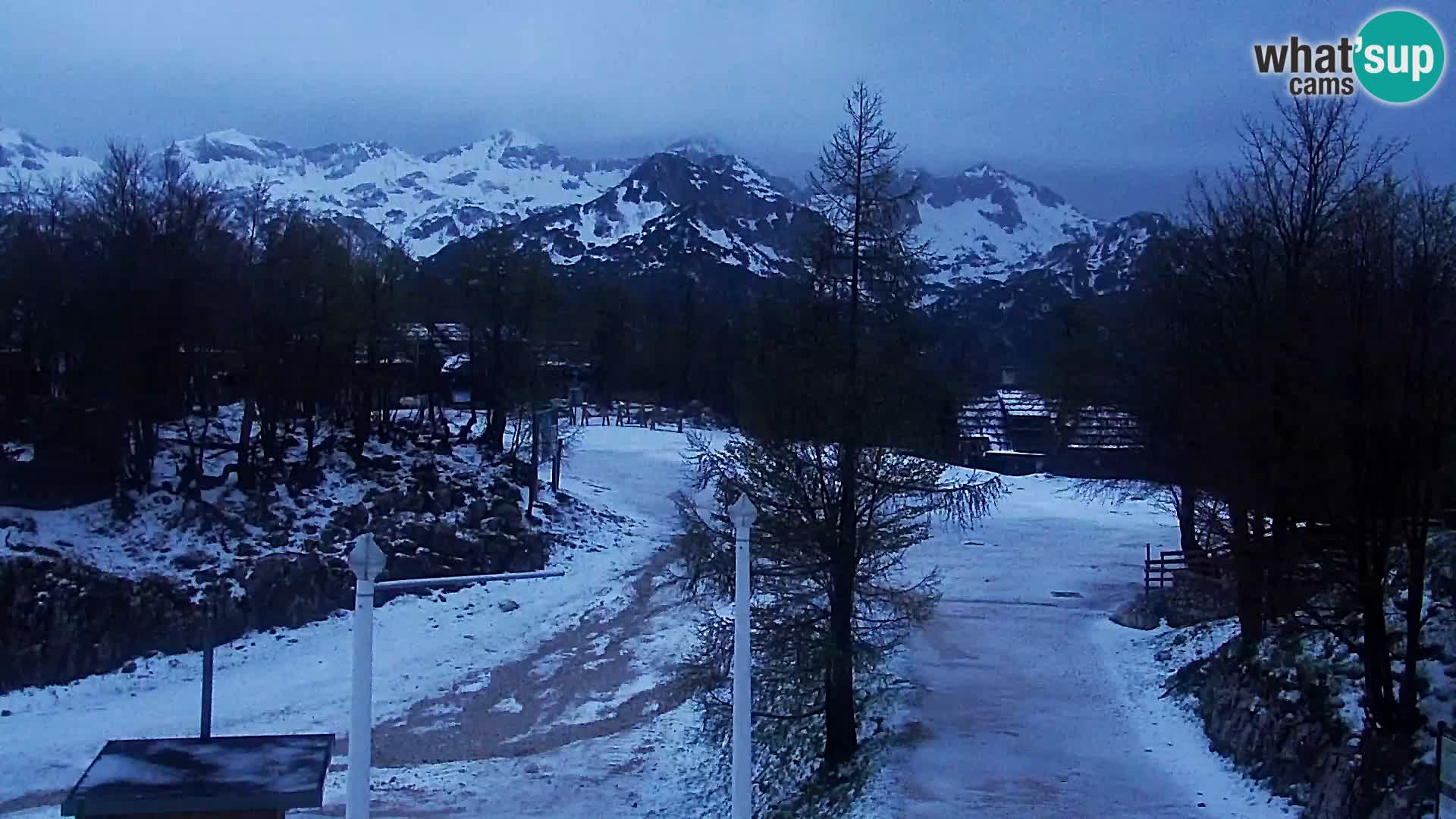 Webcam Ski resort Vogel
