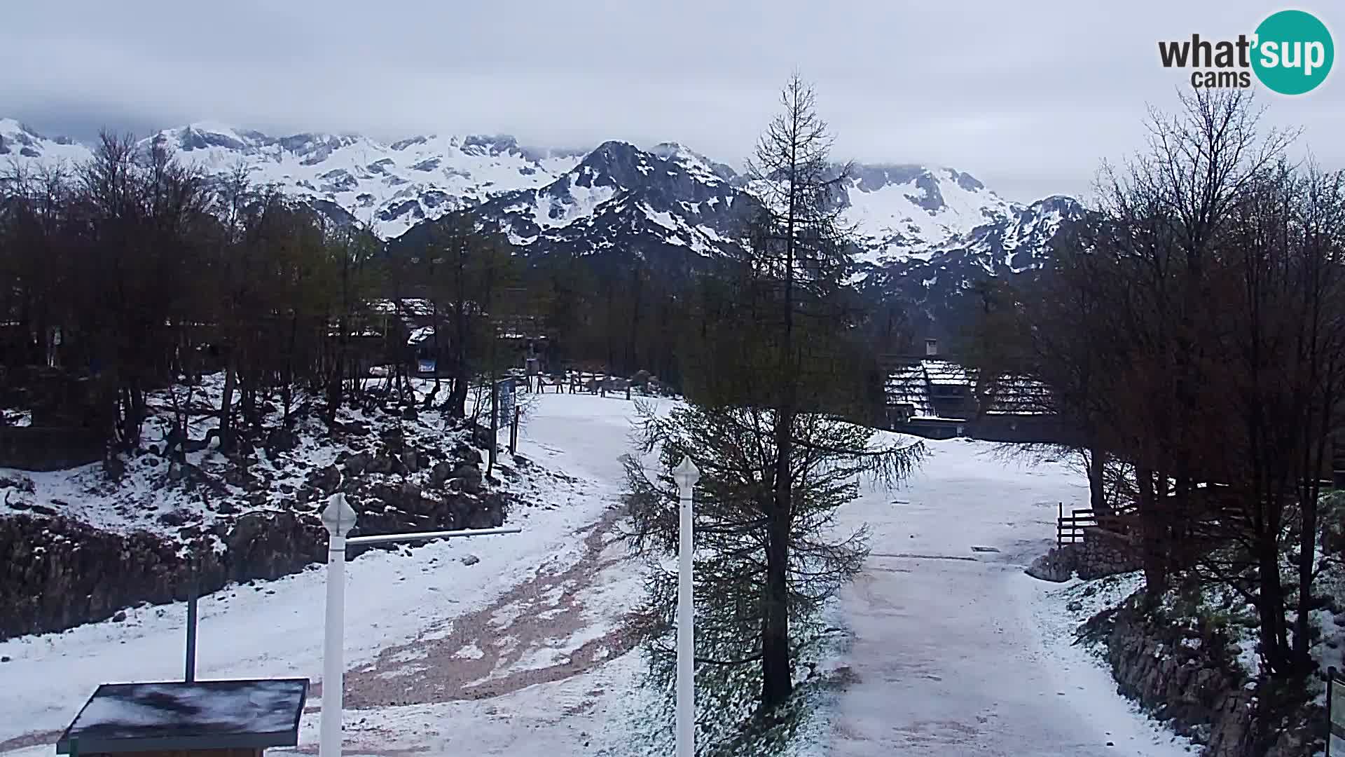 Web Kamera Skijalište Vogel