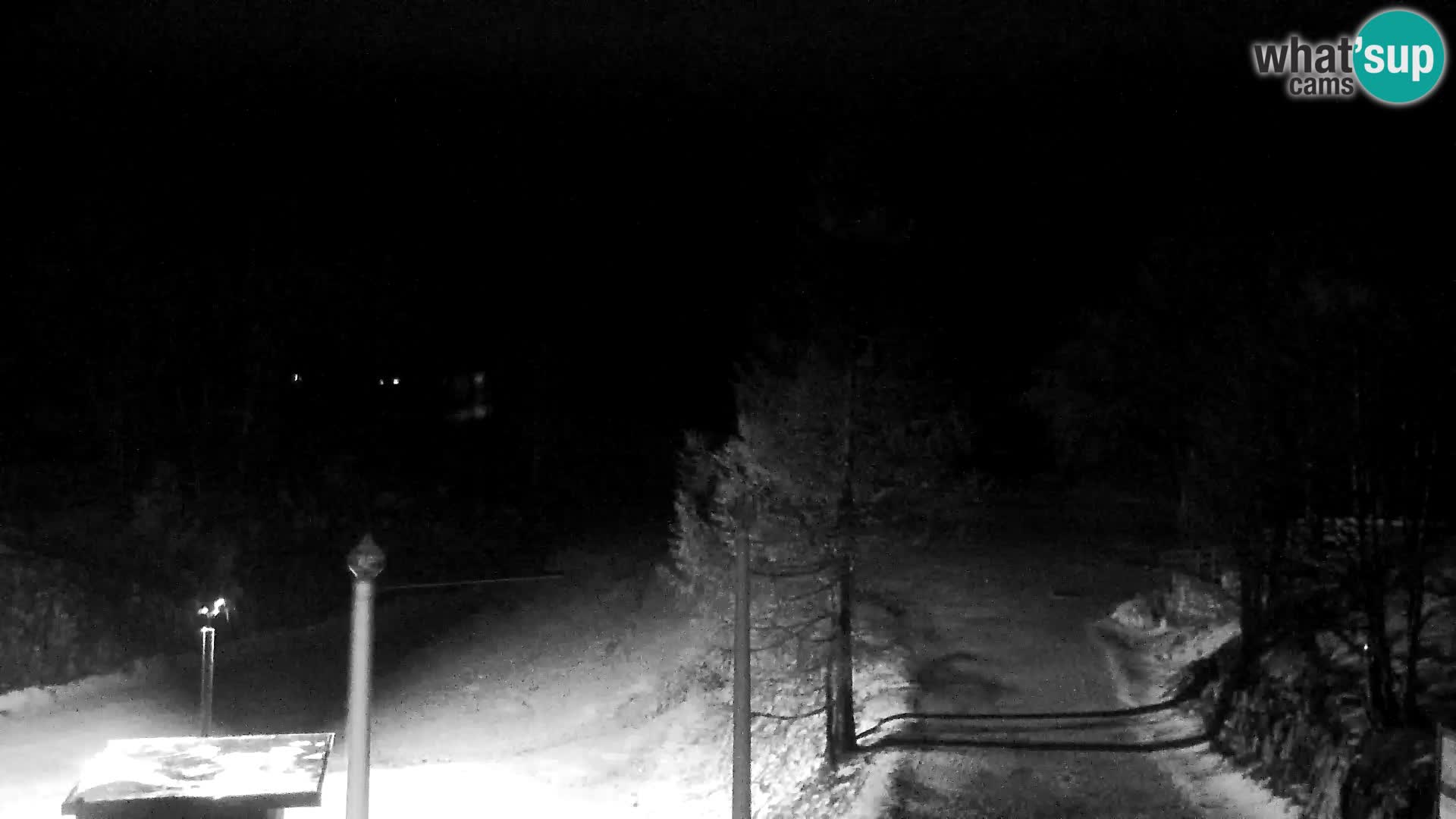 Webcam Skigebiet Vogel