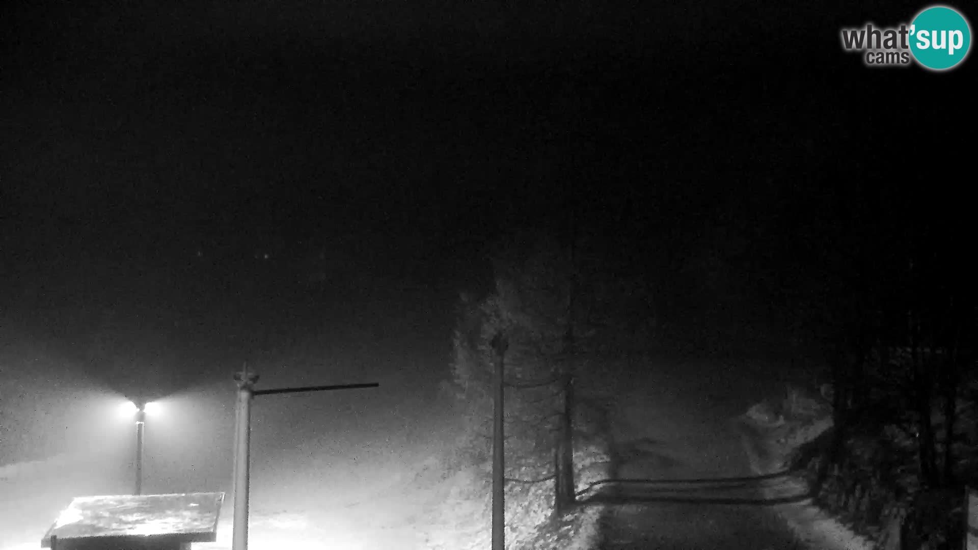 Live cam Station ski Vogel