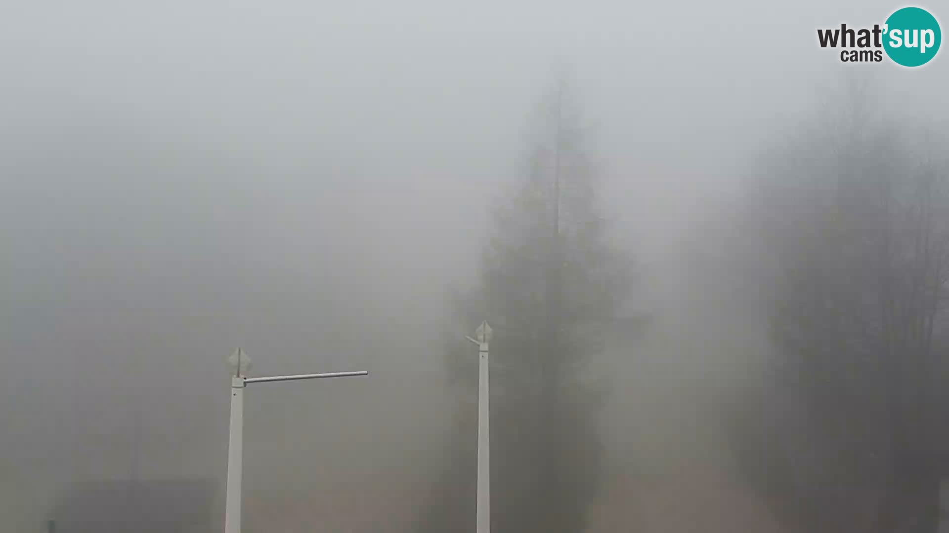 Live cam Station ski Vogel