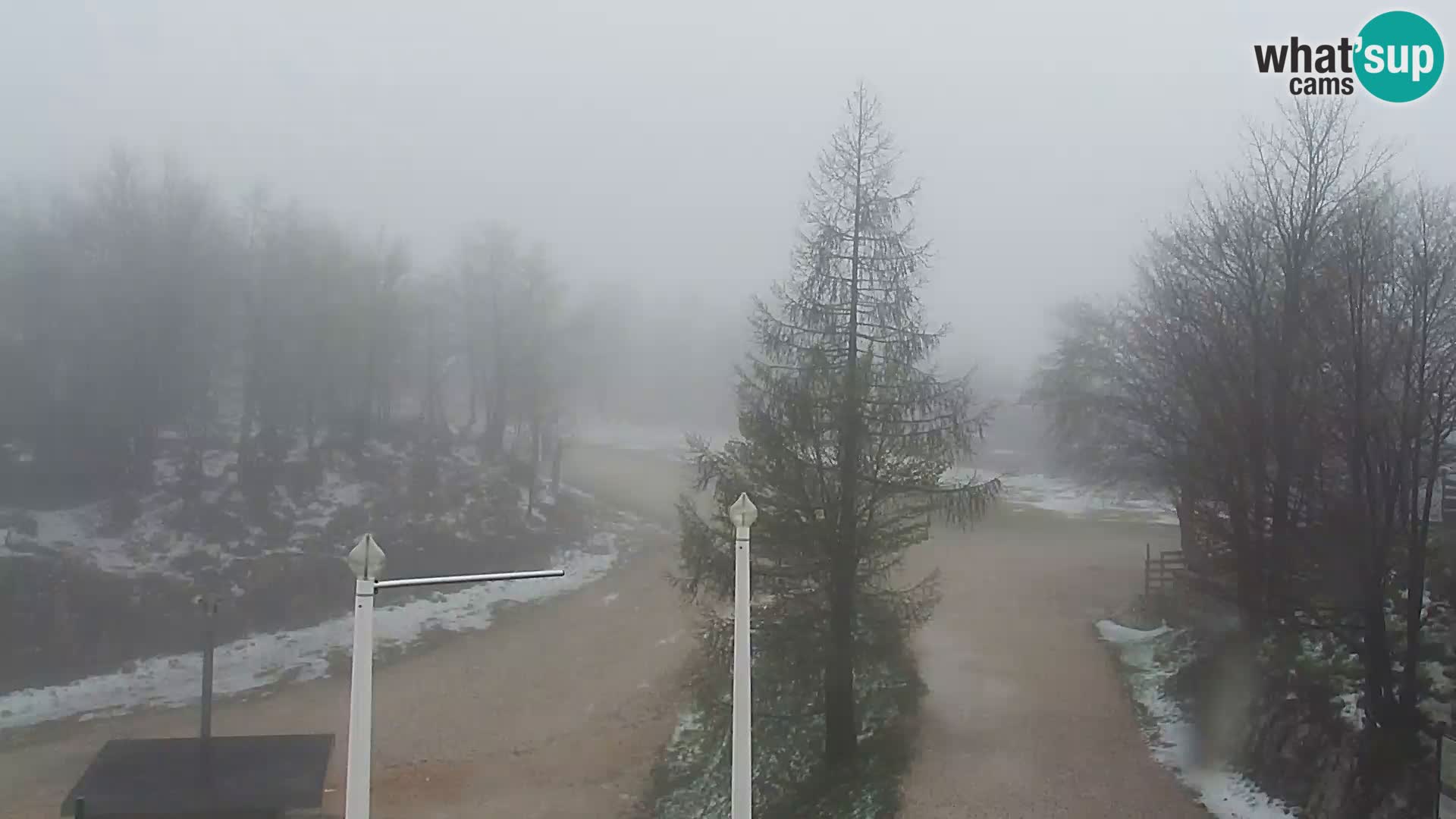 Webcam Ski resort Vogel