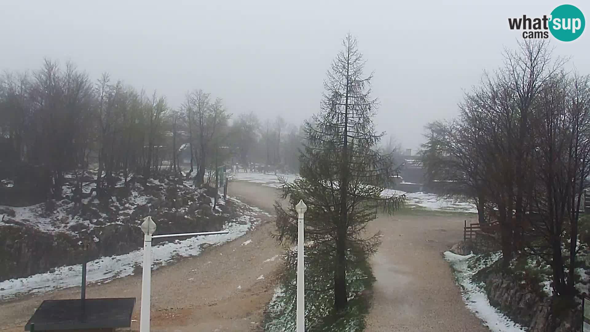 Spletna kamera Smučišče Kamera v zivo Vogel – postaja nihalke