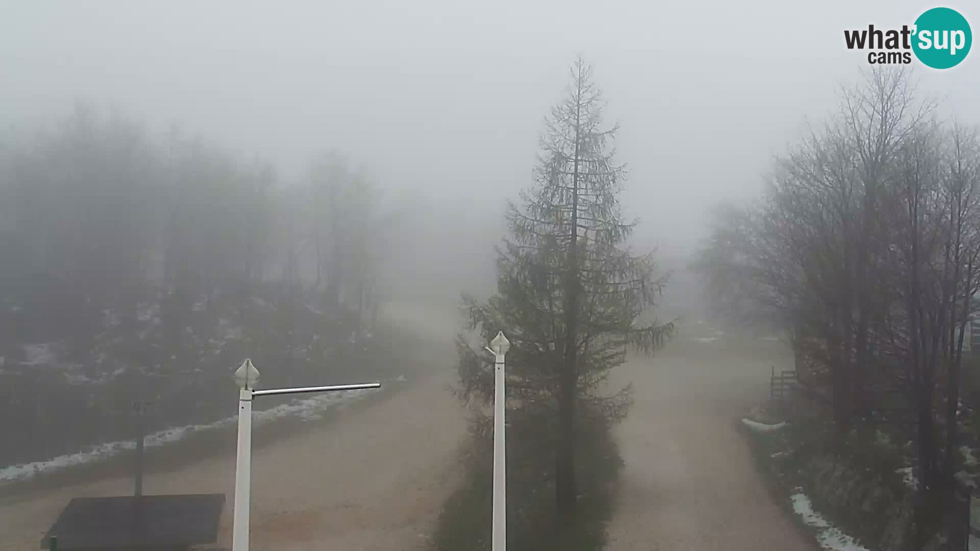 Webcam Ski resort Vogel