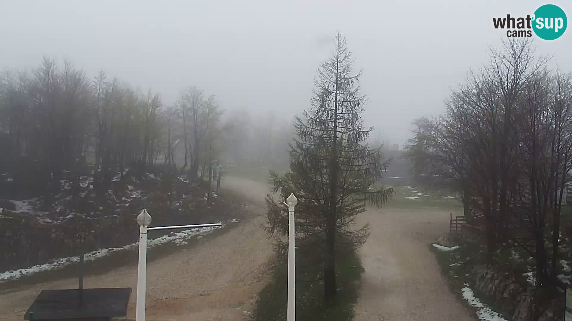 Spletna kamera Smučišče Kamera v zivo Vogel – postaja nihalke