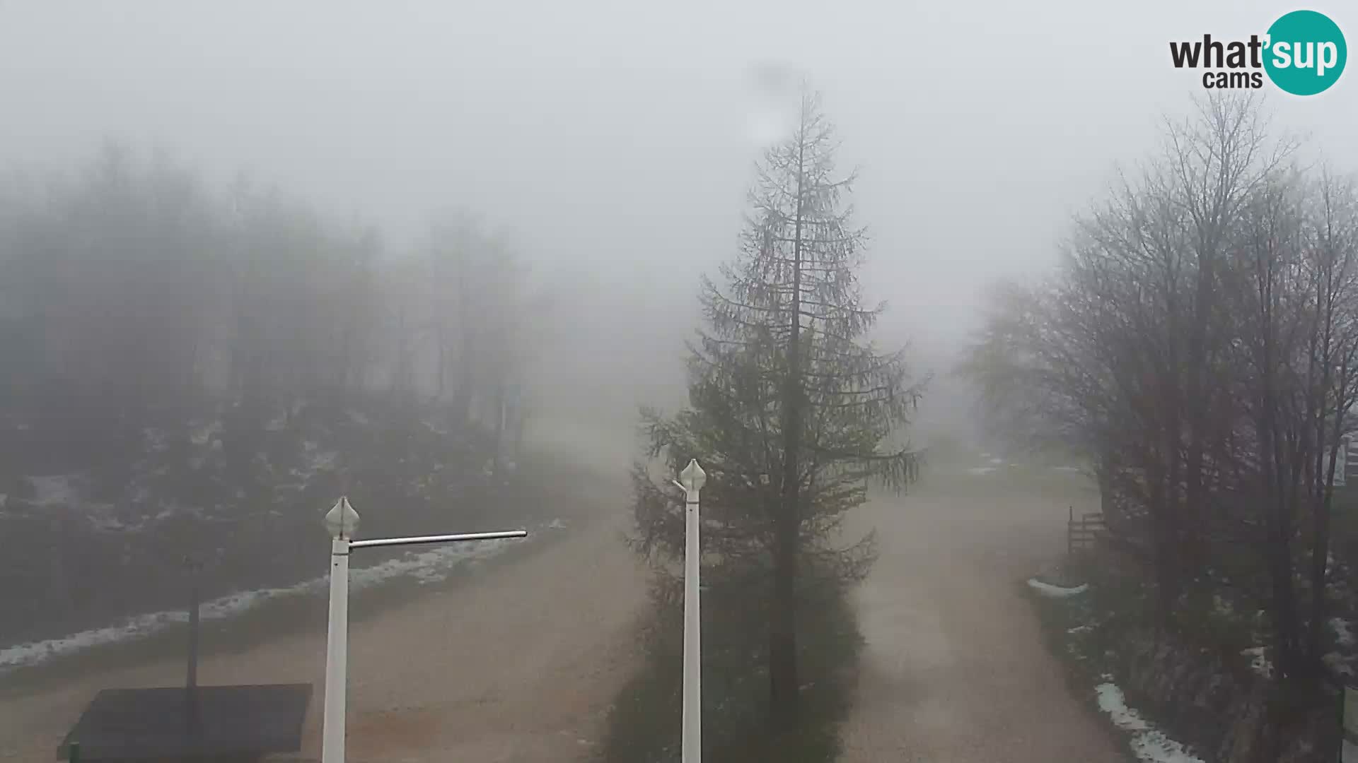 Webcam Stazione sciistica Vogel